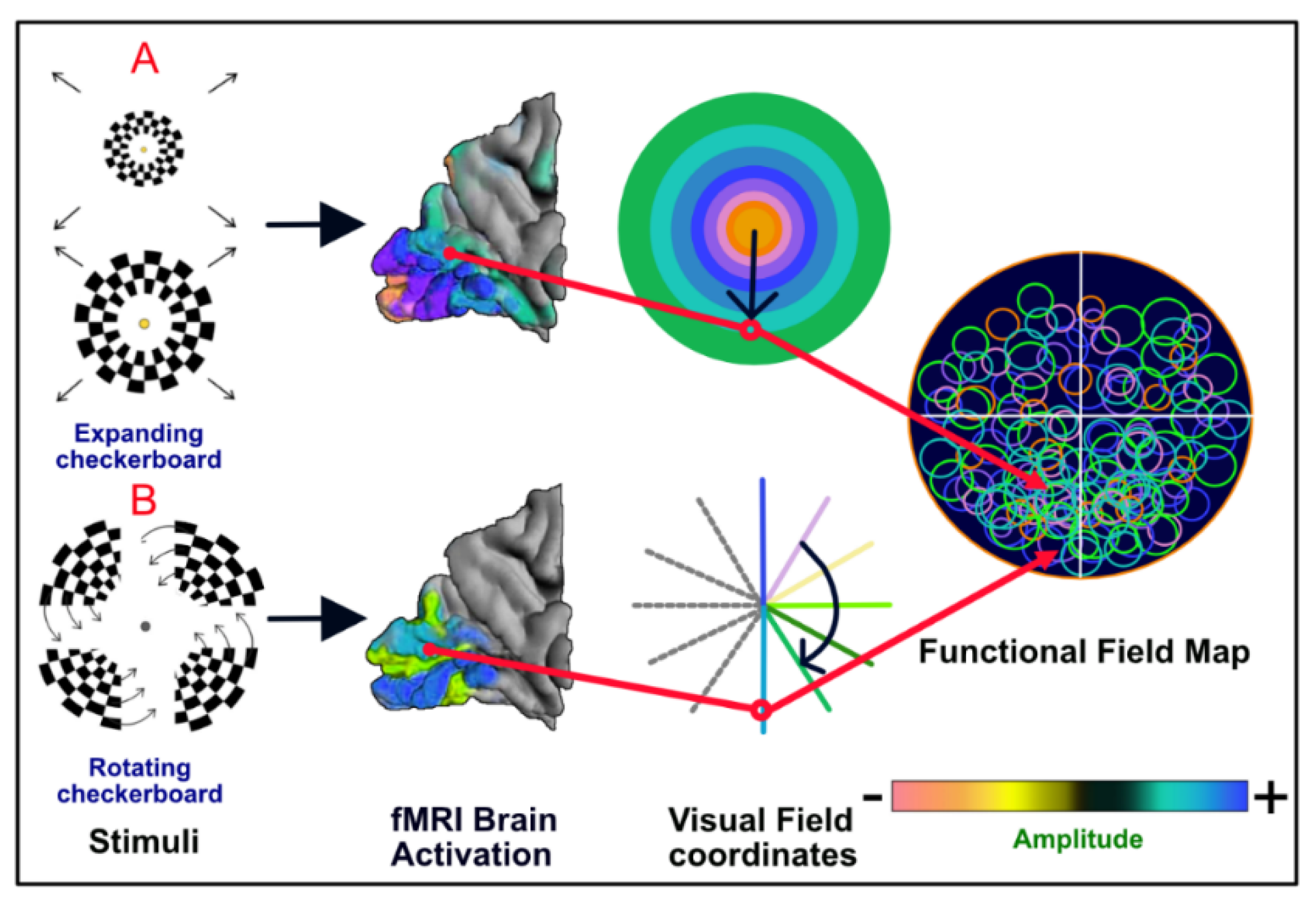 Jpm 13 00370 g006 Jpm 13 00370 g006