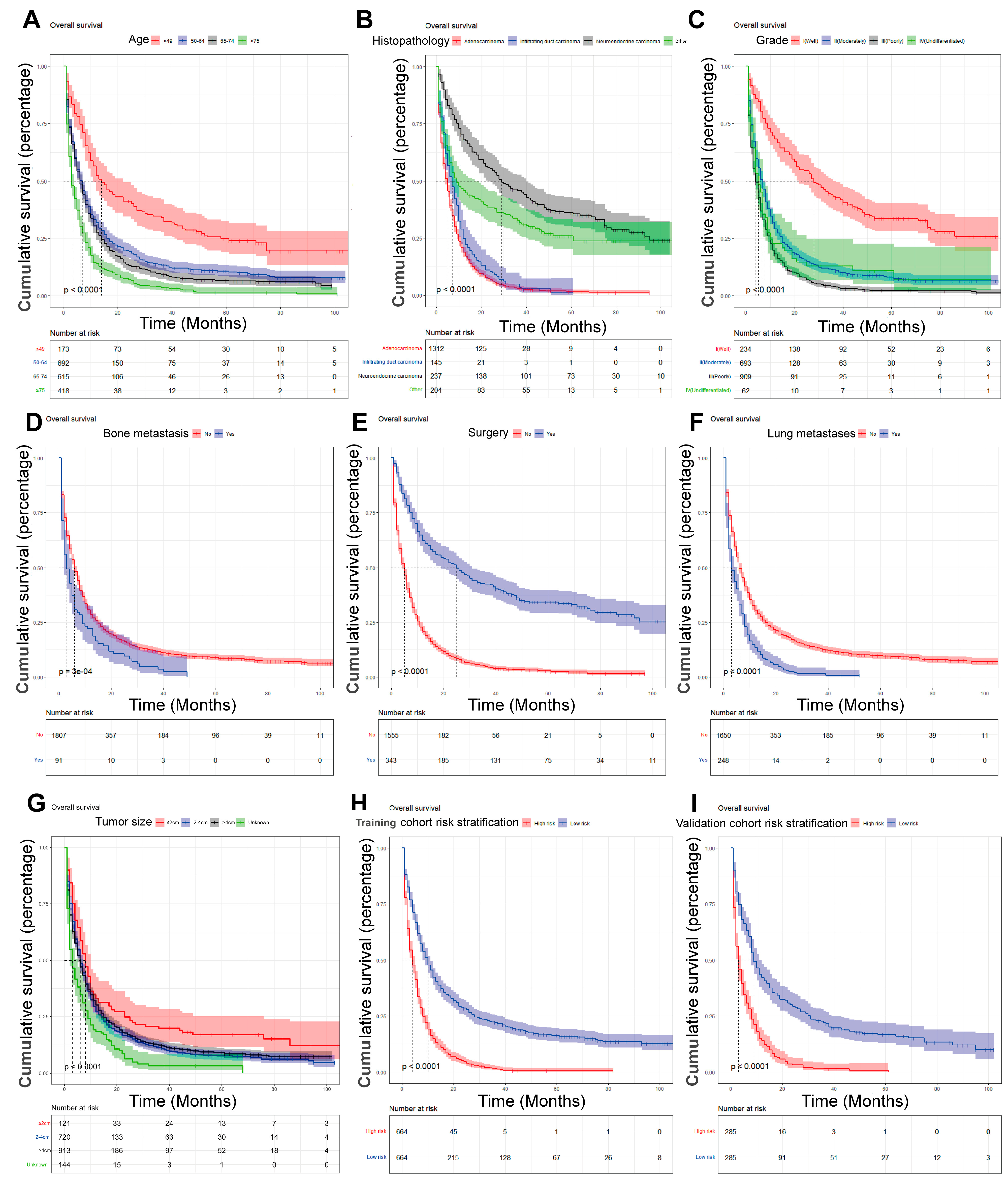 Jpm 13 00409 g007 Jpm 13 00409 g007
