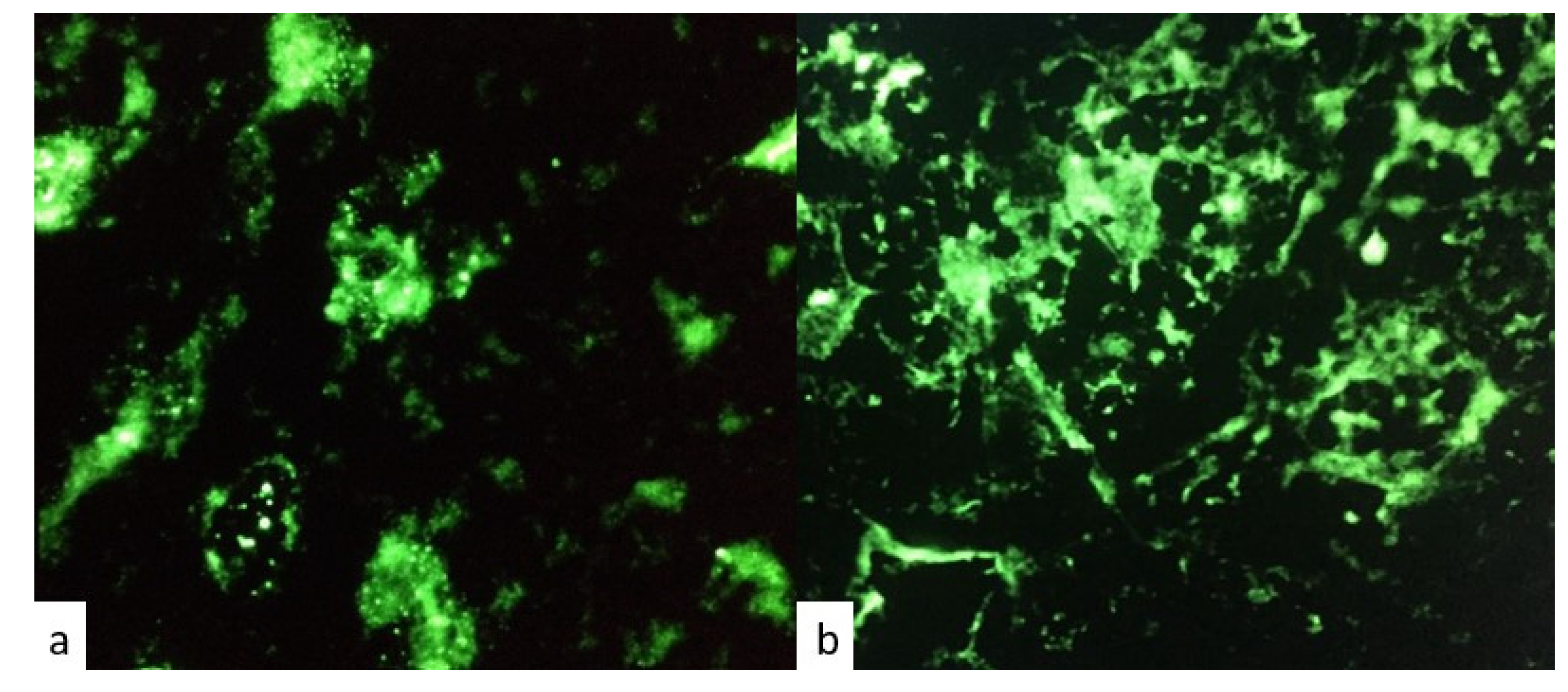 Jpm 13 00415 g002 Jpm 13 00415 g002