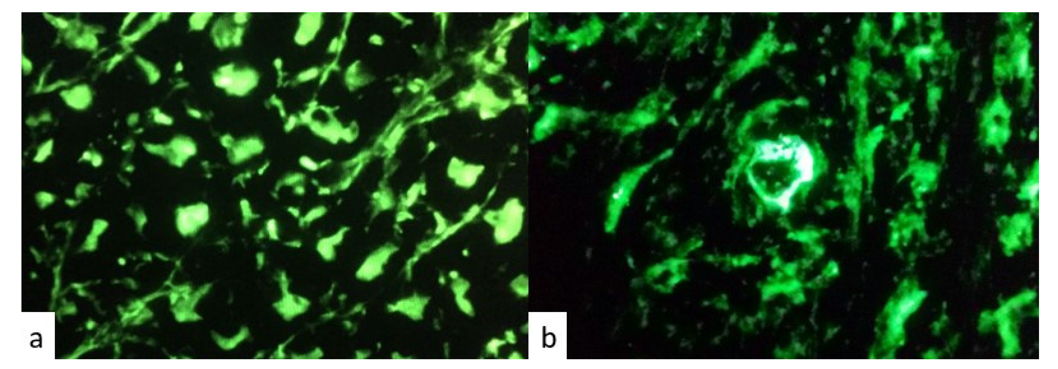 Jpm 13 00415 g003 Jpm 13 00415 g003