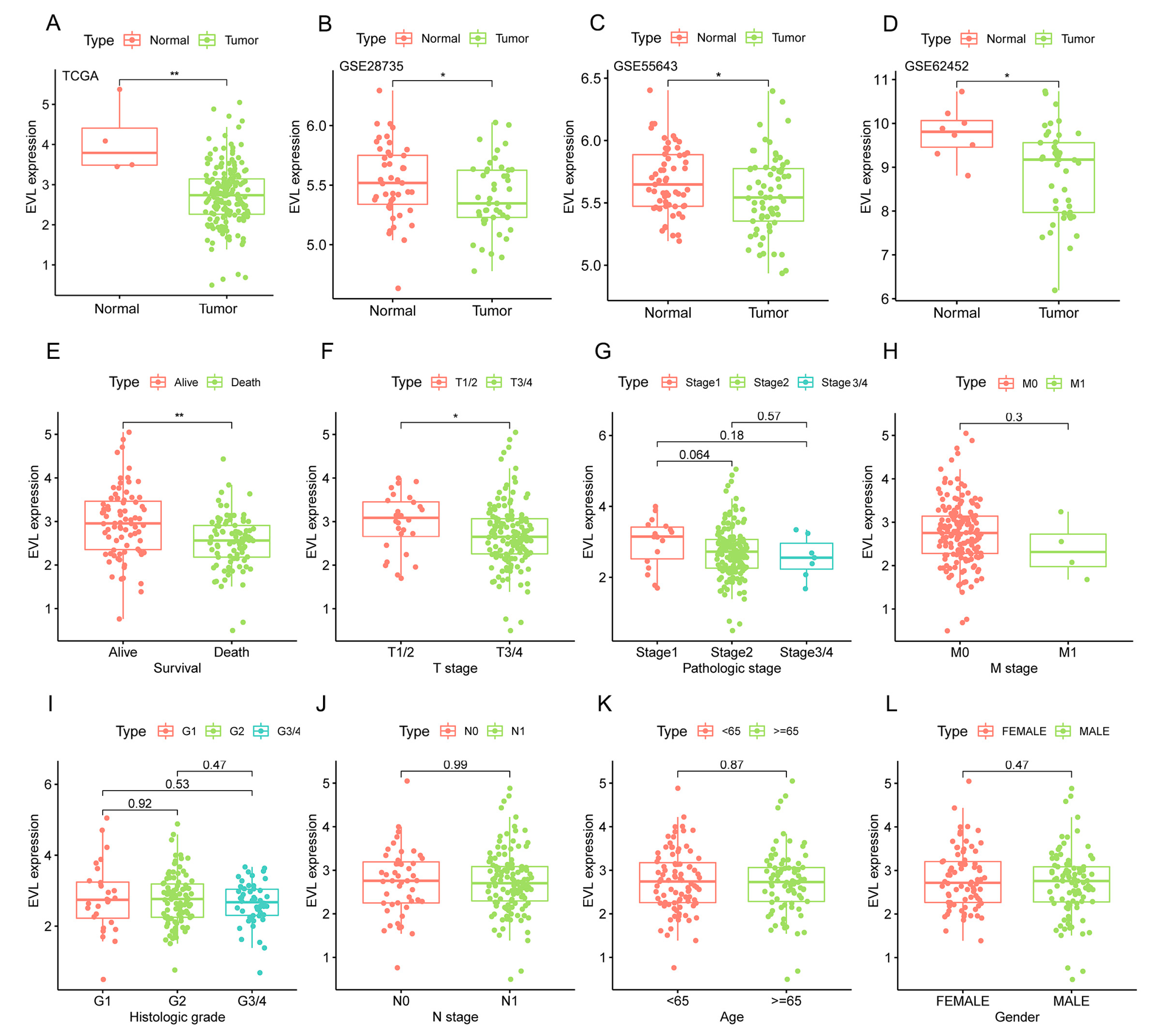 Jpm 13 00433 g001 Jpm 13 00433 g001