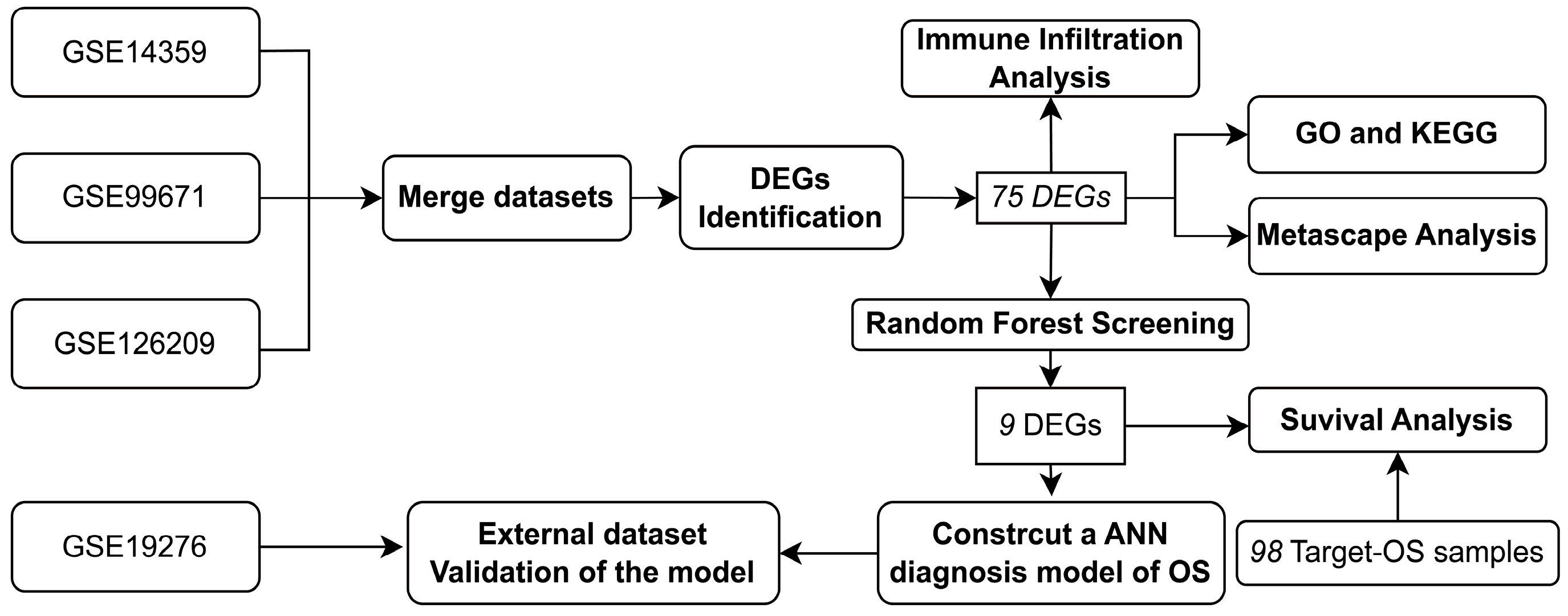 Jpm 13 00447 g001 Jpm 13 00447 g001