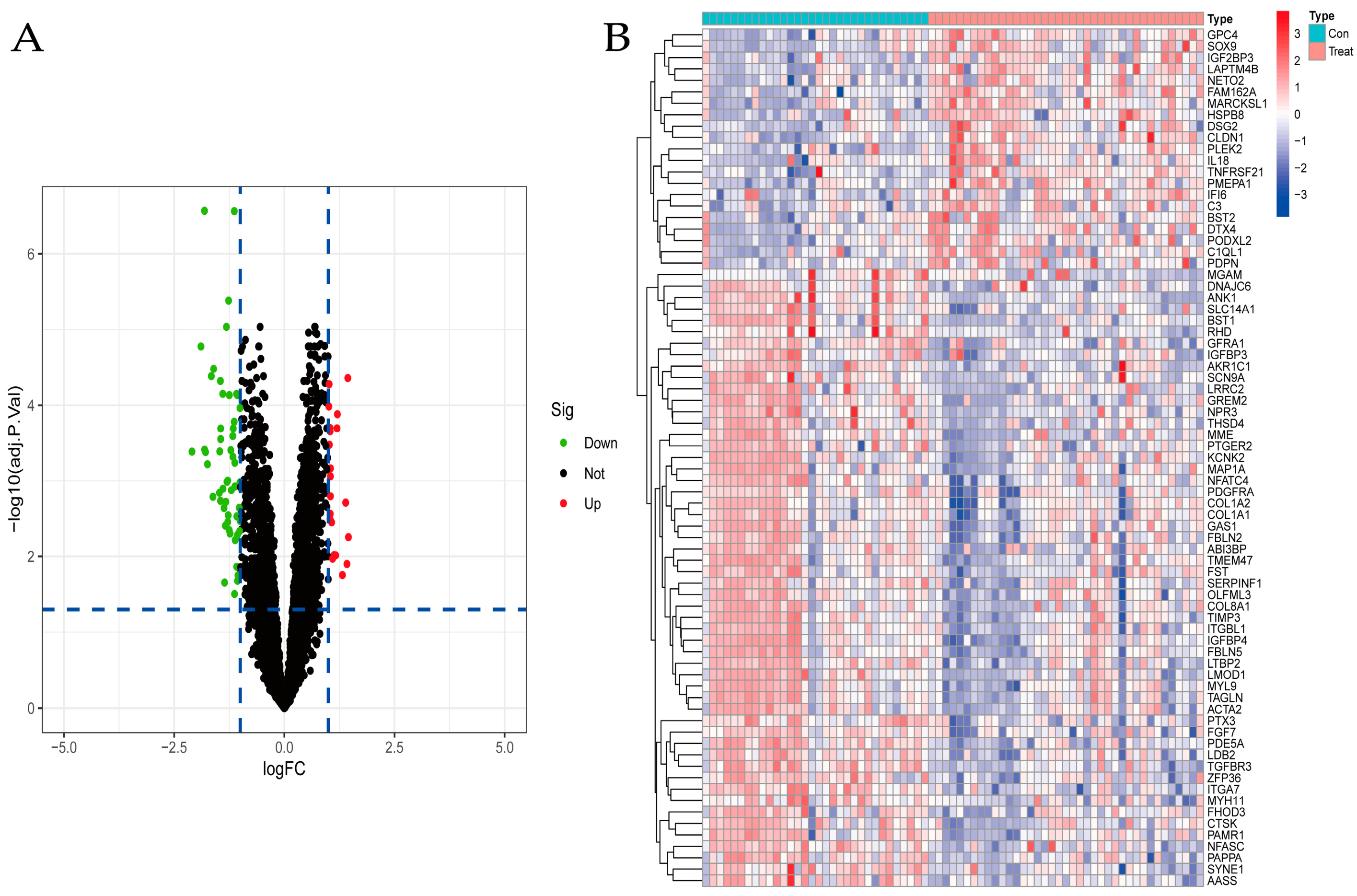 Jpm 13 00447 g002 Jpm 13 00447 g002