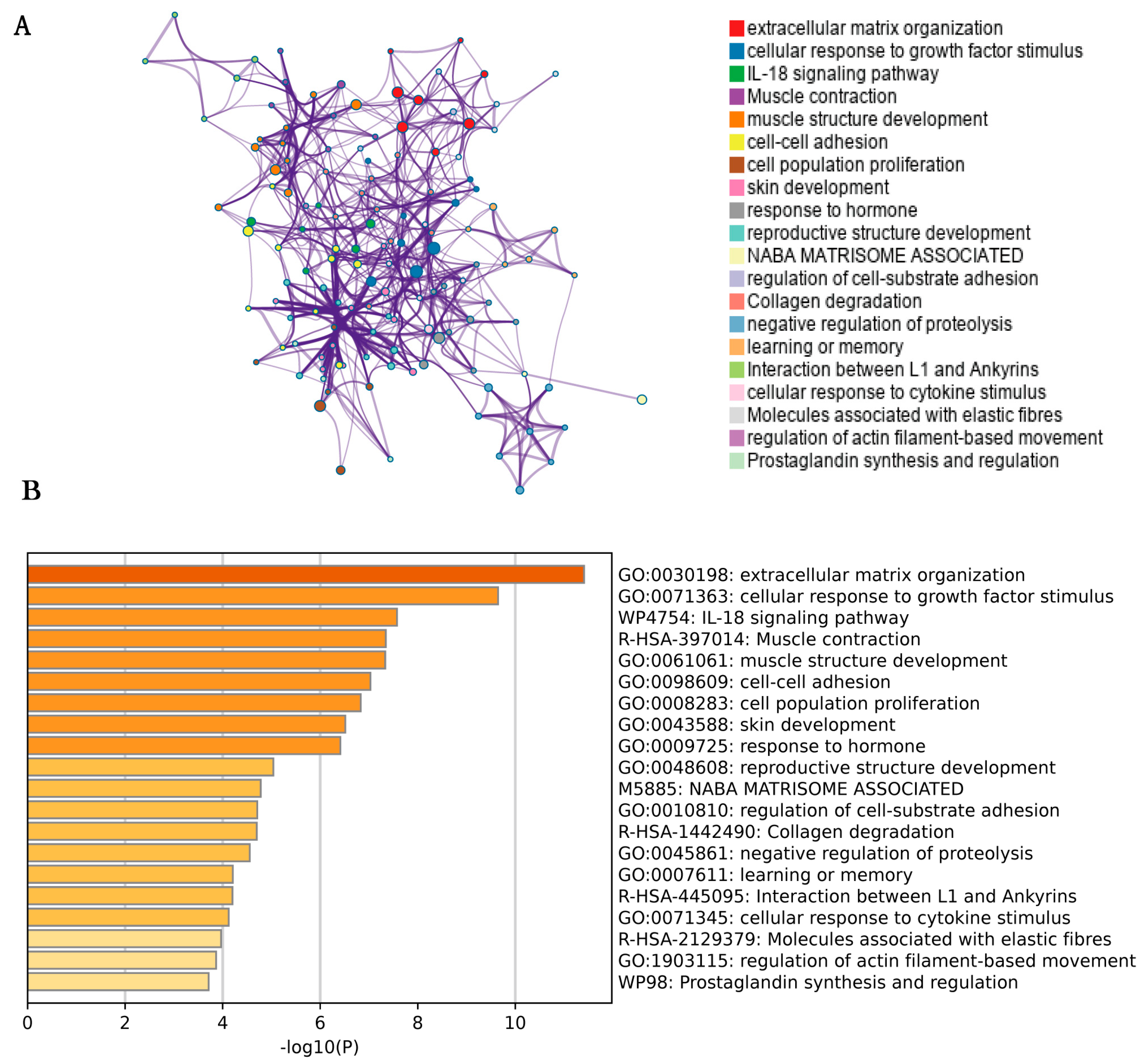 Jpm 13 00447 g003 Jpm 13 00447 g003