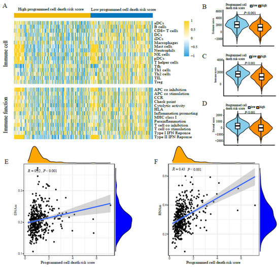 A Comprehensive Analysis of Programmed Cell Death-Associated Genes for ...