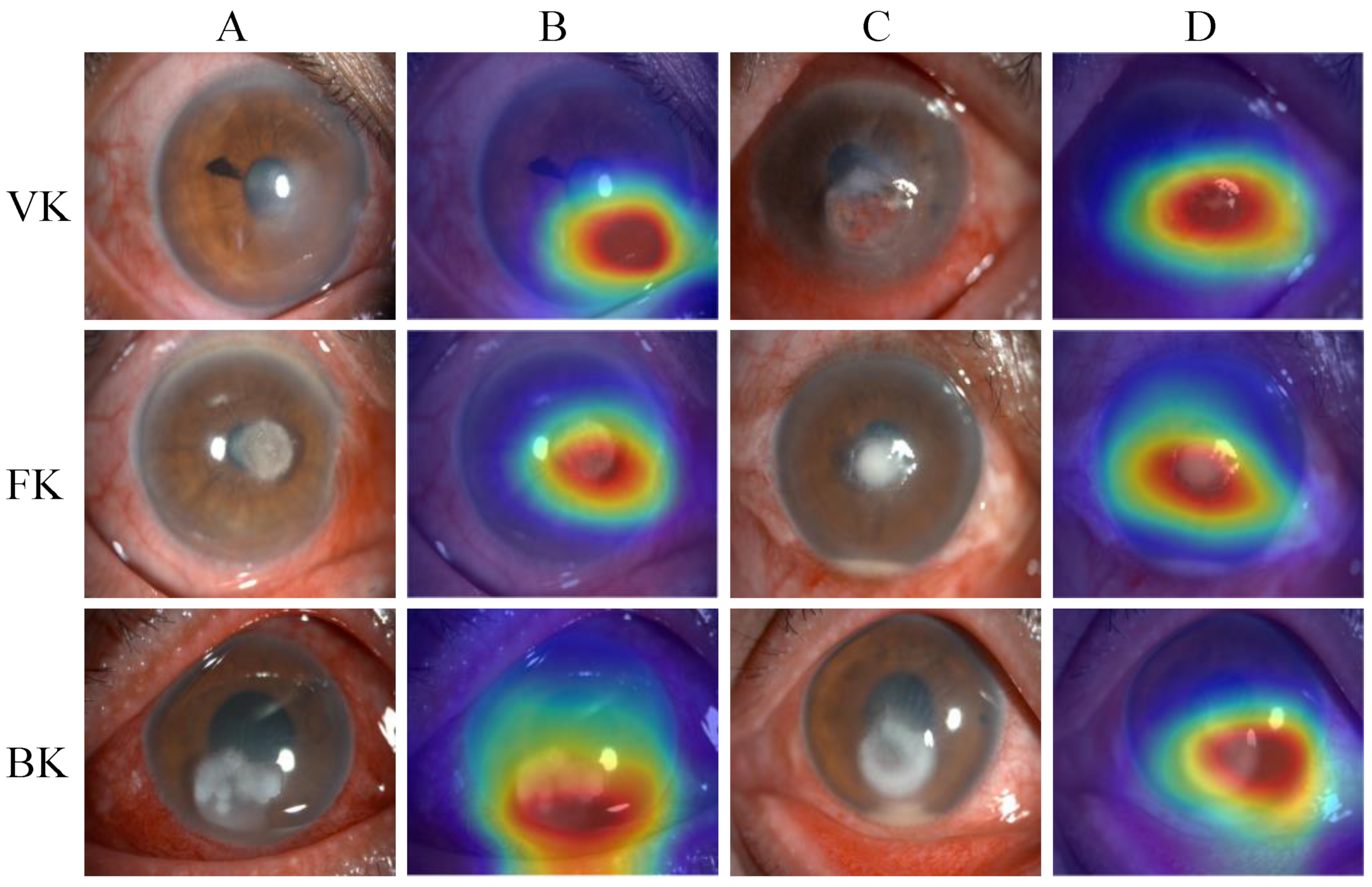 Jpm 13 00519 g006 Jpm 13 00519 g006