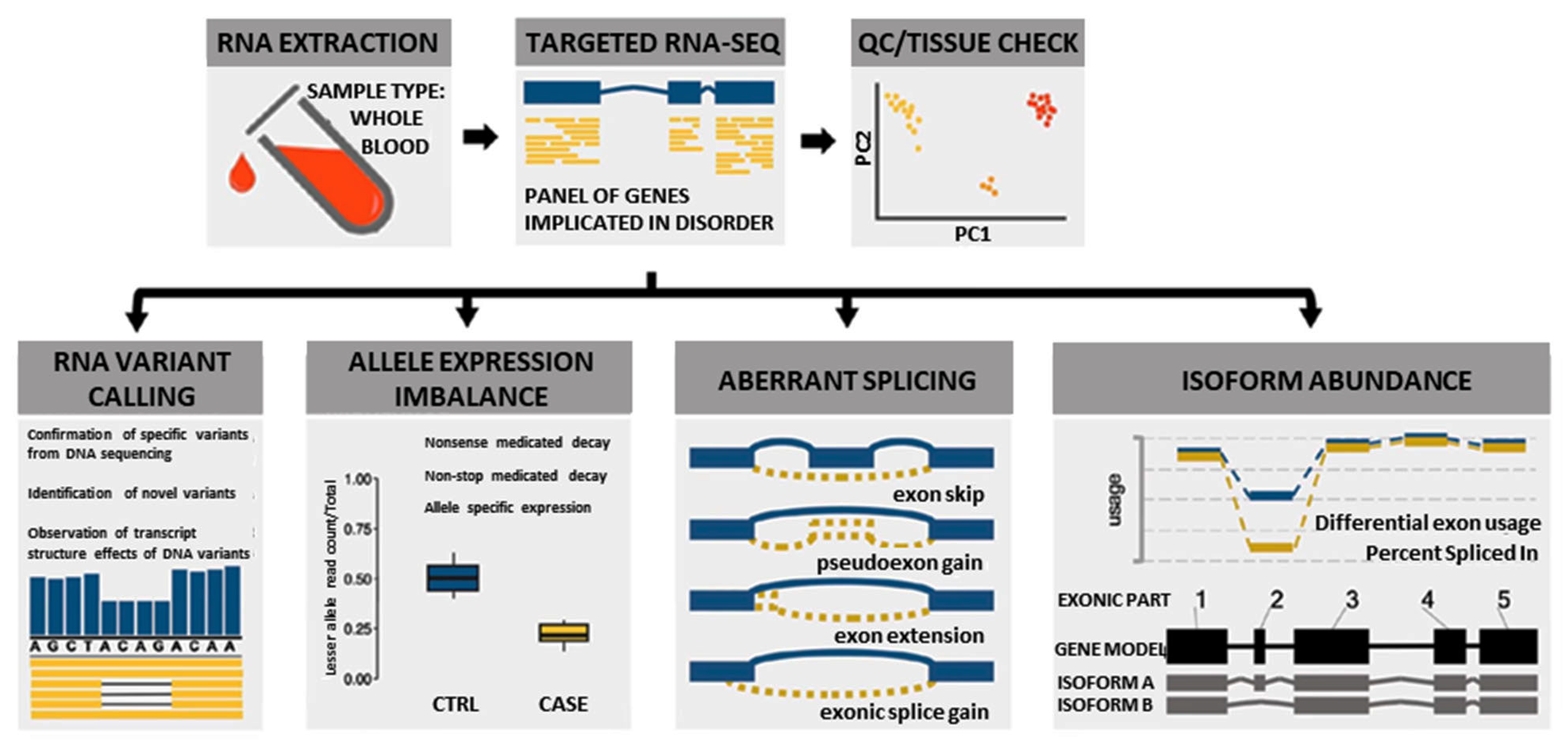 JPM Free Full-Text Utilization of Targeted RNA-Seq for the Resolution of Variant Pathogenicity and Enhancement of Diagnostic Yield in Dysferlinopathy Lesbian 3718x1775 picture JPM Free Full-Text Utilization of Targeted RNA-Seq for the Resolution of Variant Pathogenicity and Enhancement of Diagnostic Yield in Dysferlinopathy