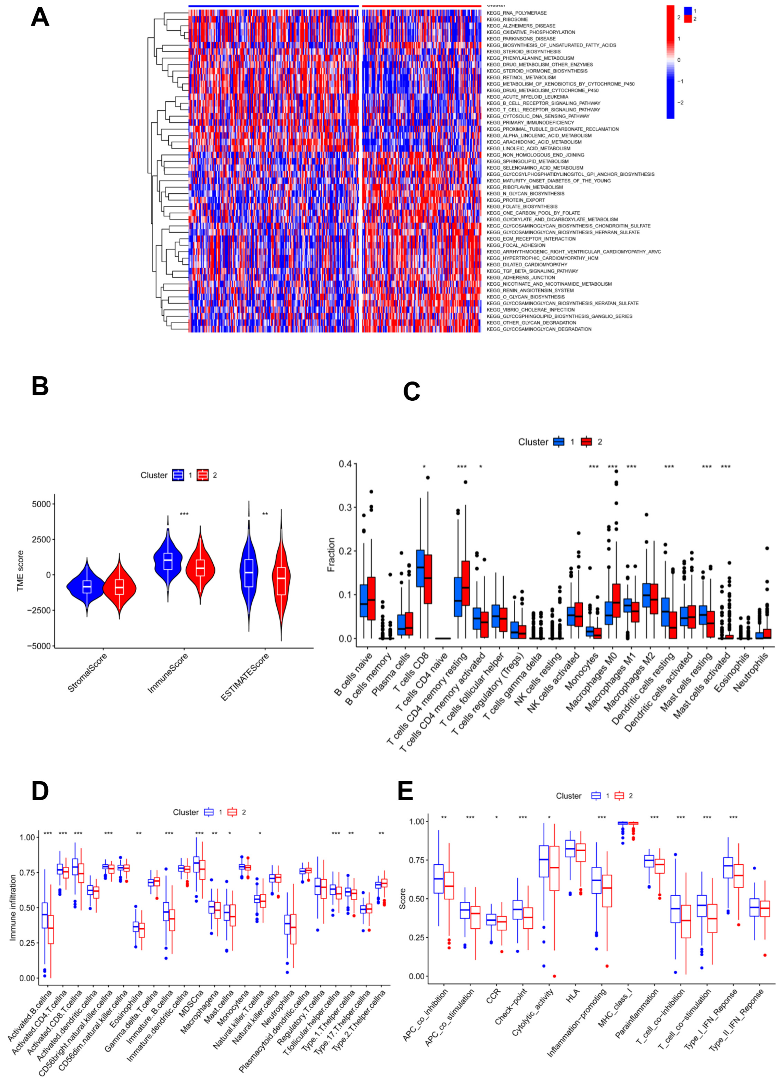 Jpm 13 00529 g002 Jpm 13 00529 g002