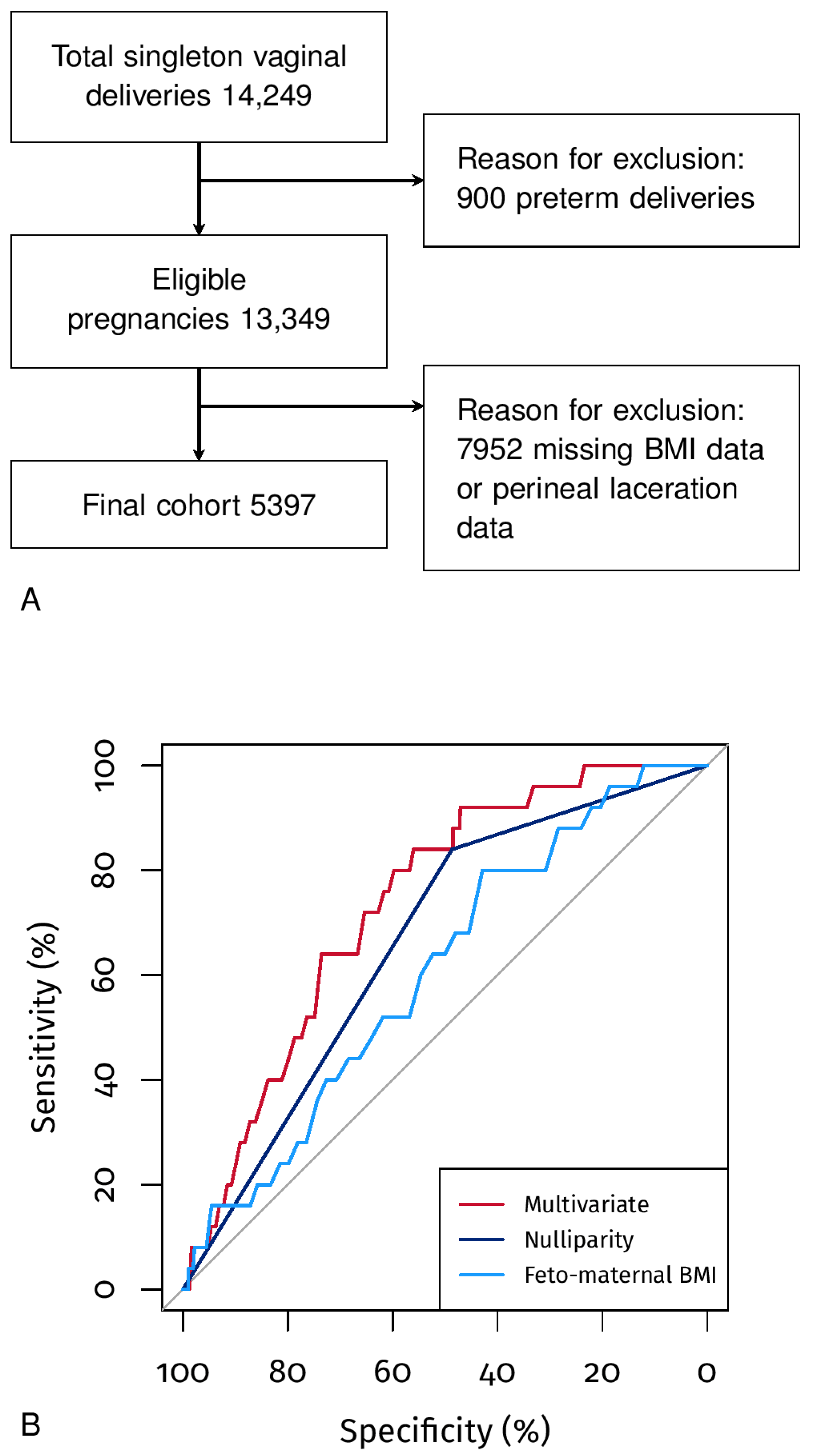 Jpm 13 00545 g001 Jpm 13 00545 g001
