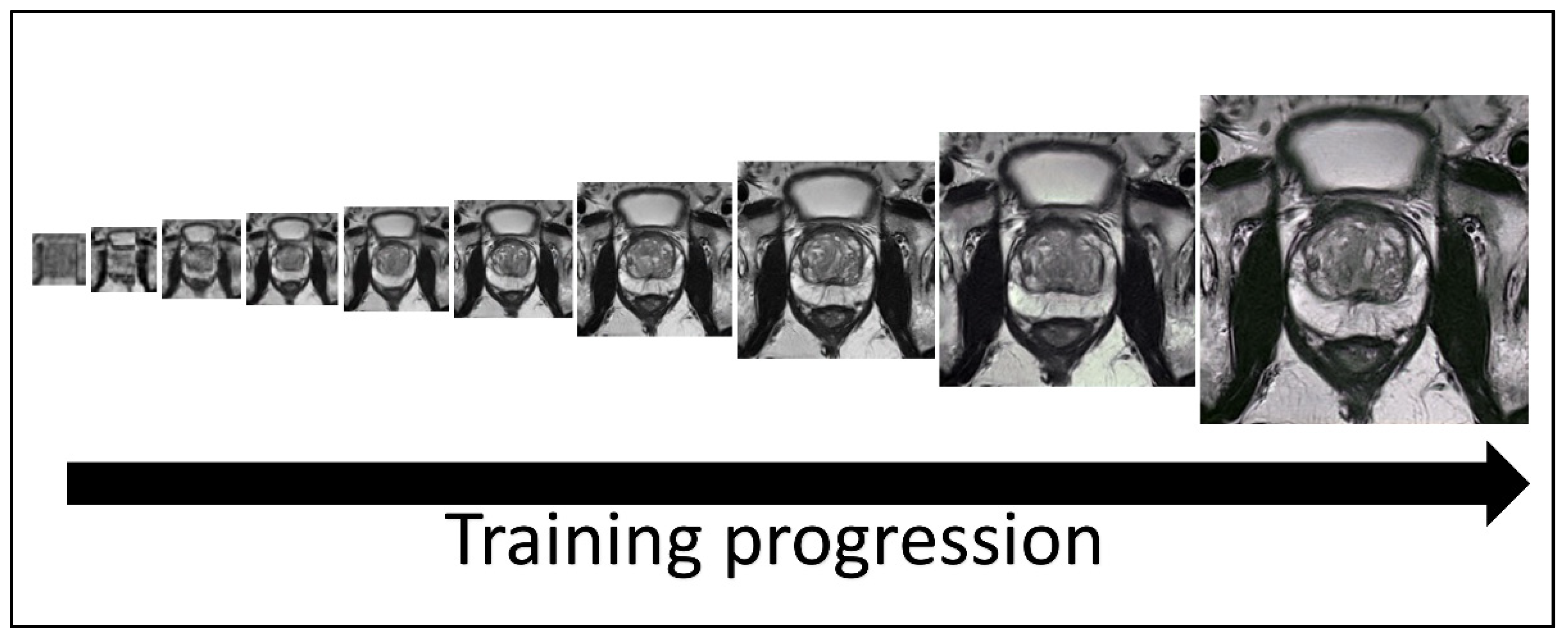 Jpm 13 00547 g001 Jpm 13 00547 g001