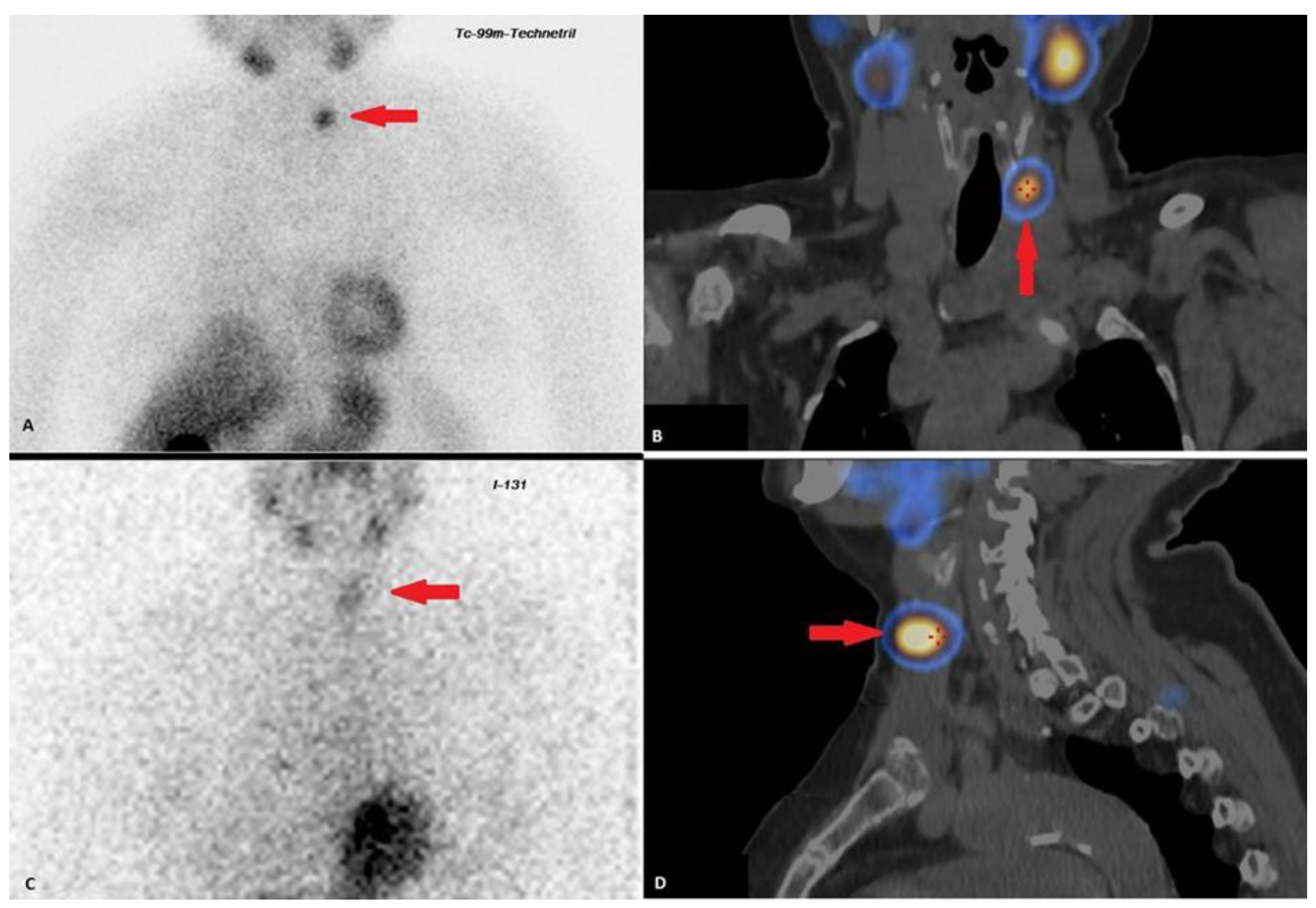 Jpm 13 00548 g002 Jpm 13 00548 g002