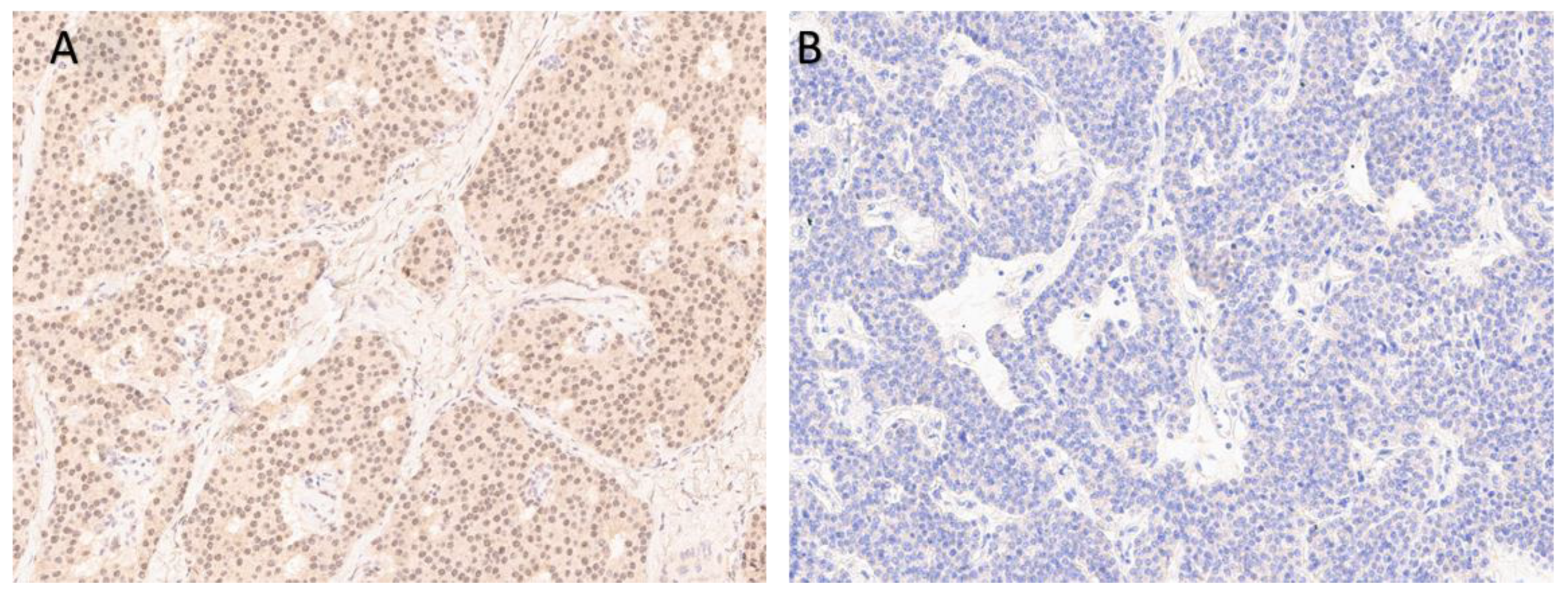 Jpm 13 00548 g005 Jpm 13 00548 g005