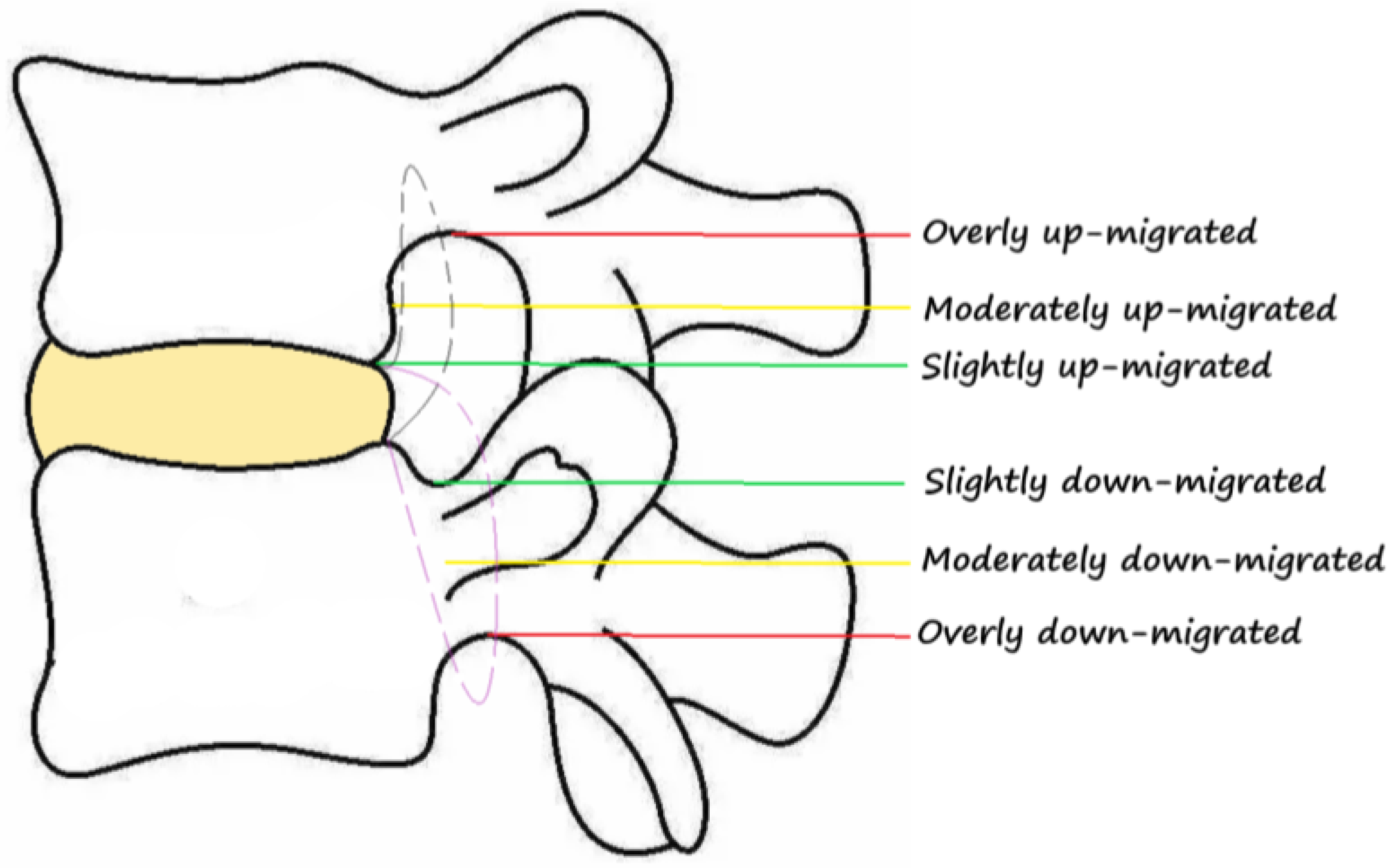 Jpm 13 00552 g005 Jpm 13 00552 g005