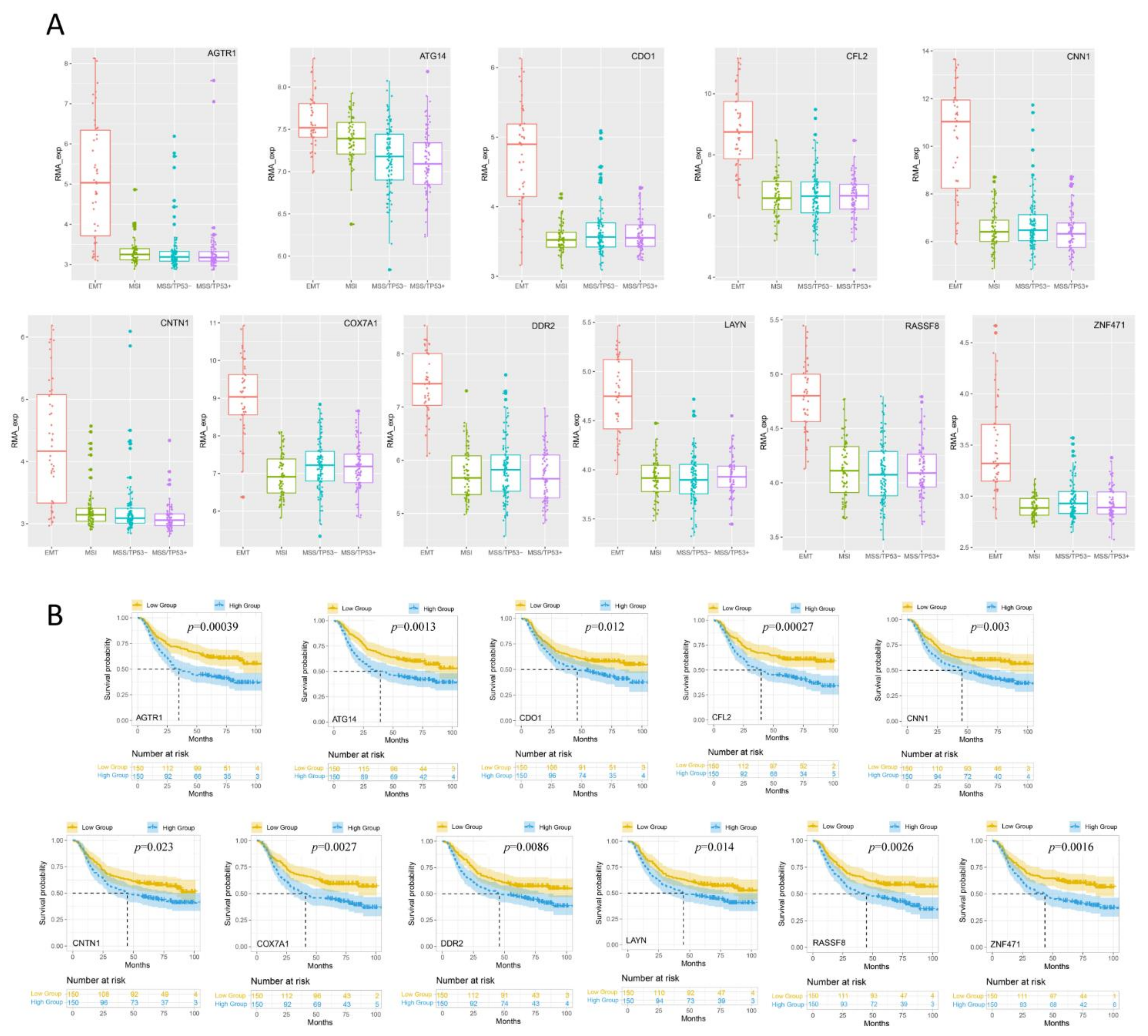 Jpm 13 00560 g003 Jpm 13 00560 g003