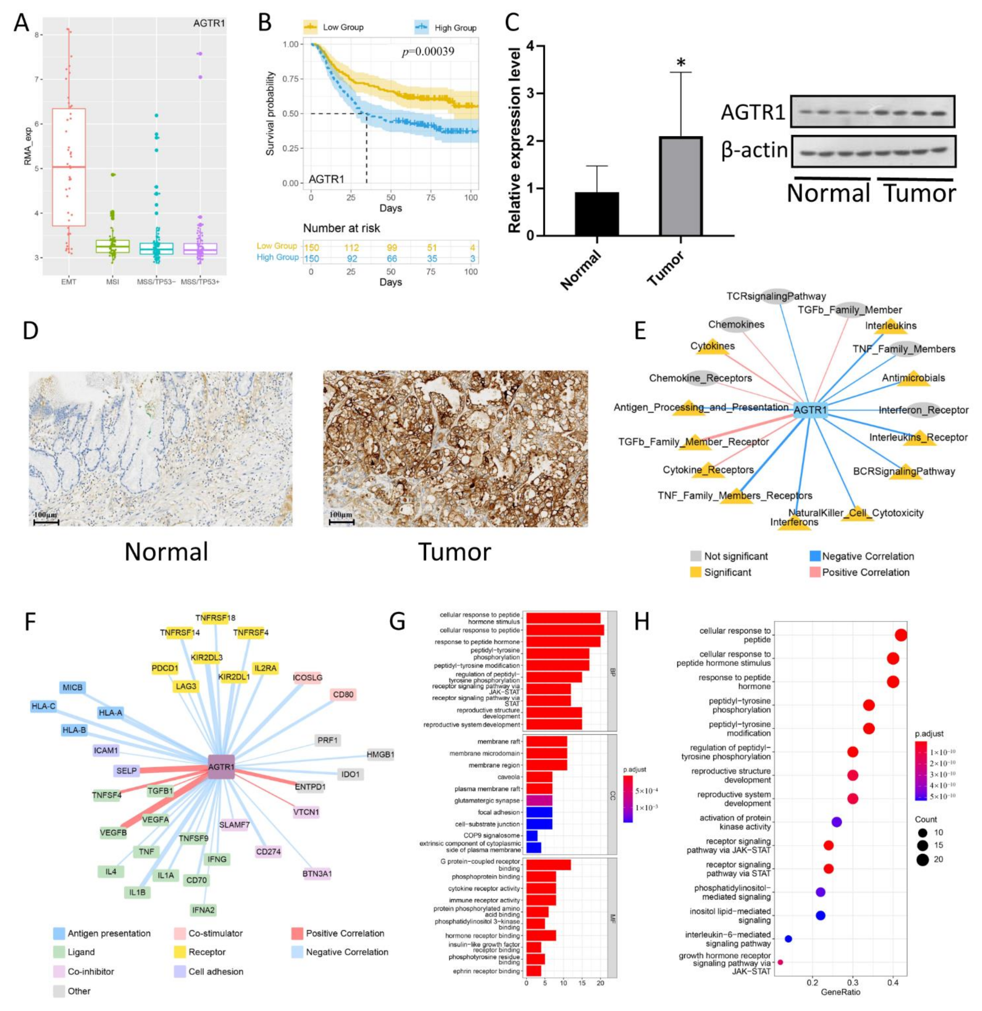 Jpm 13 00560 g004 Jpm 13 00560 g004