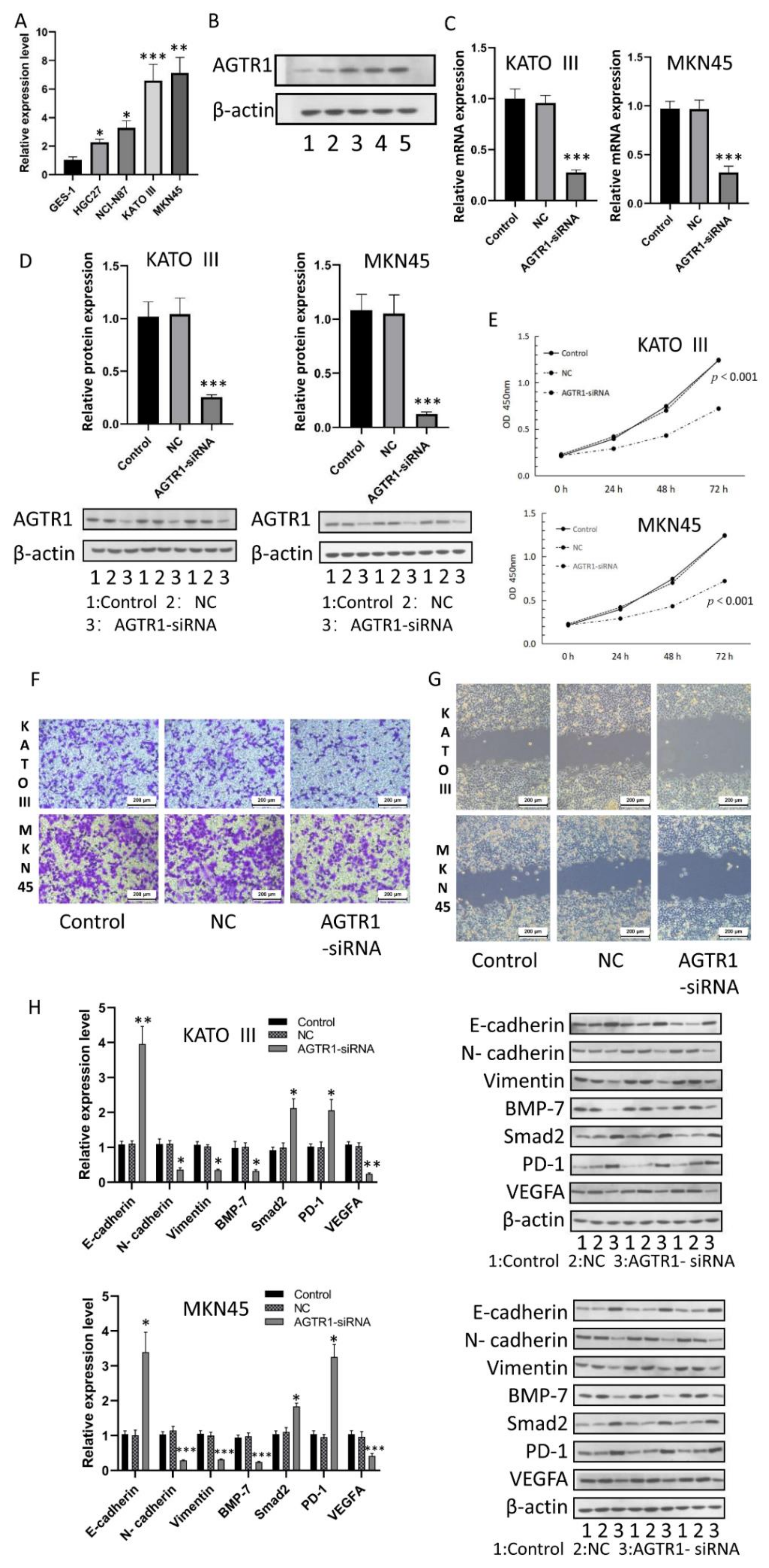 Jpm 13 00560 g006 Jpm 13 00560 g006