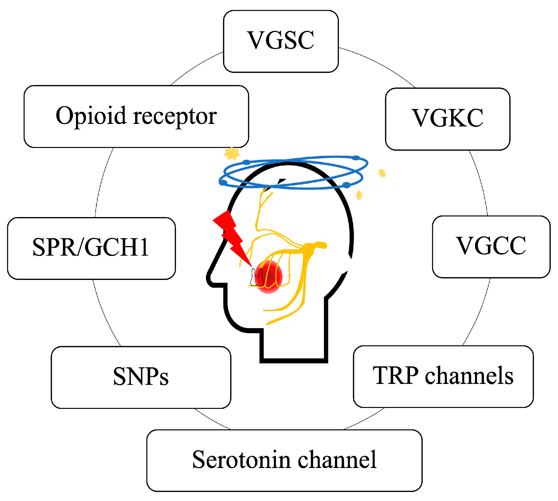 Jpm 13 00565 g001 Jpm 13 00565 g001