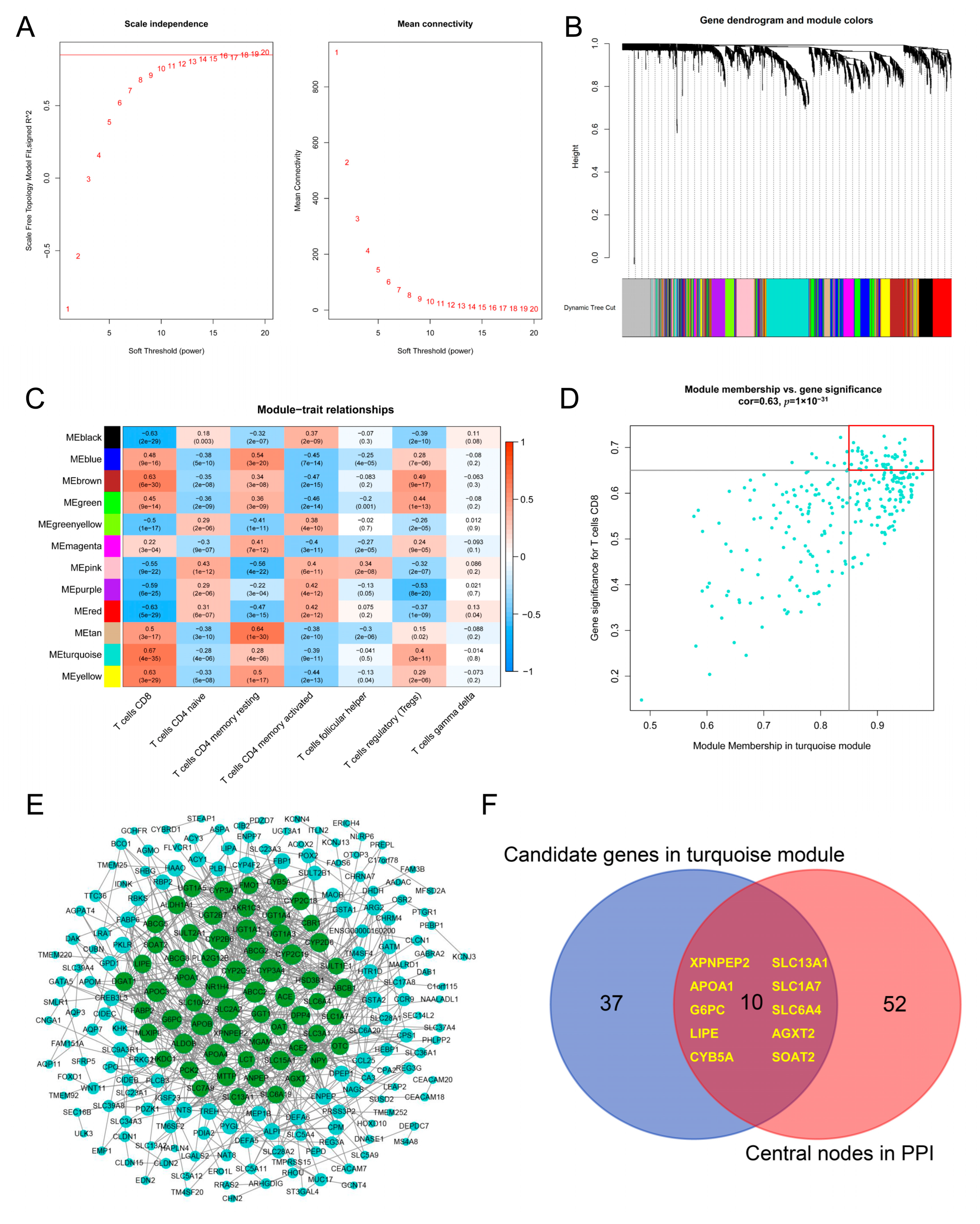 Jpm 13 00571 g004 Jpm 13 00571 g004