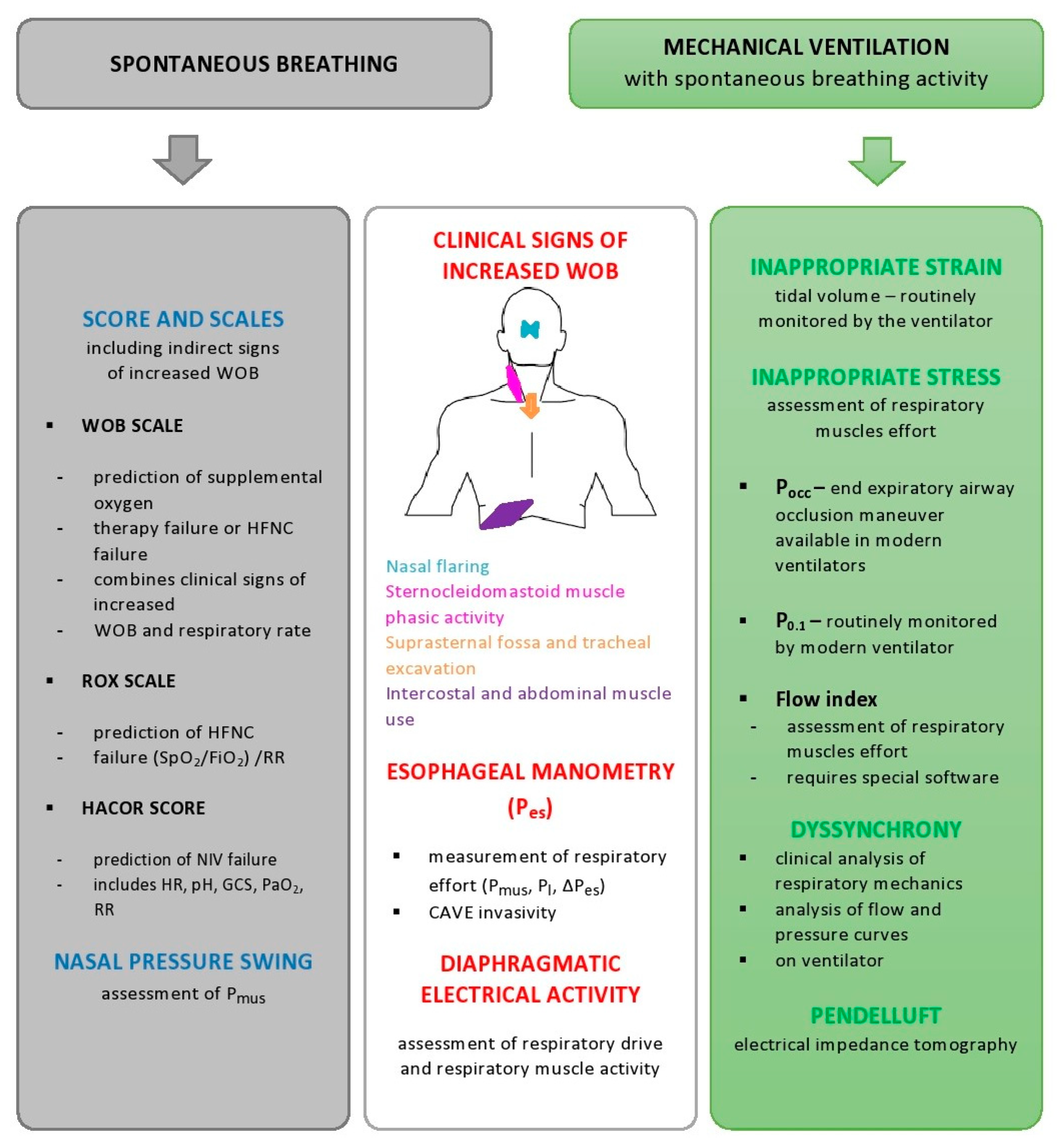 Jpm 13 00593 g002 Jpm 13 00593 g002