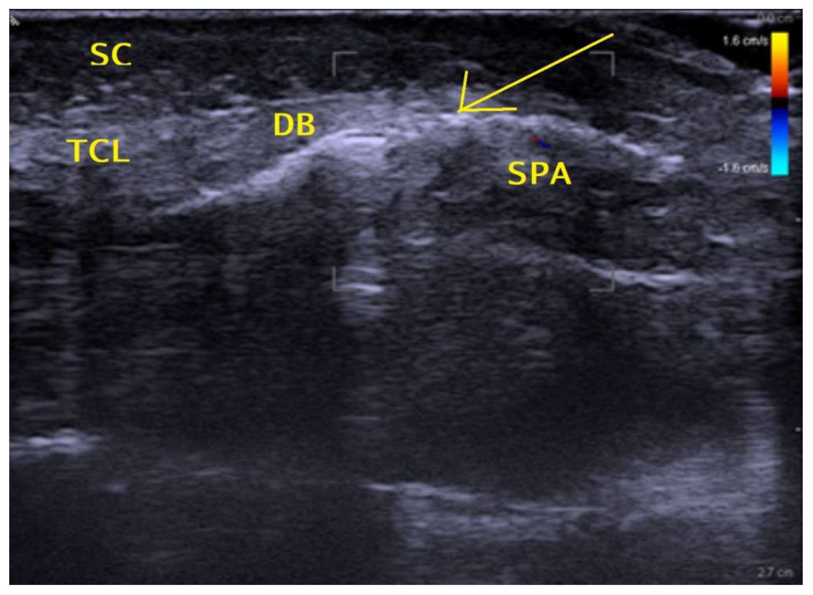 Jpm 13 00610 g001 Jpm 13 00610 g001
