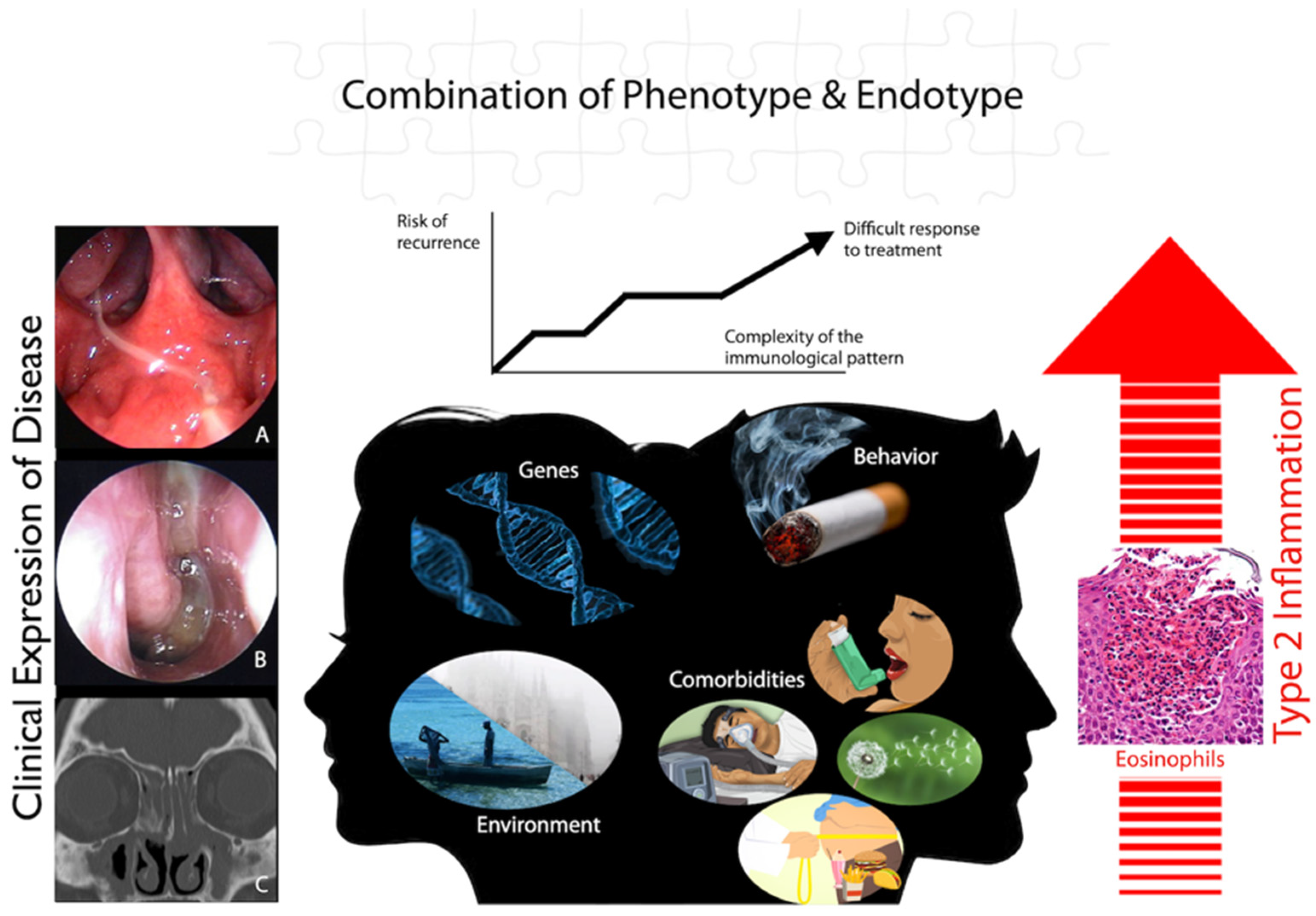 Jpm 13 00618 g002 Jpm 13 00618 g002
