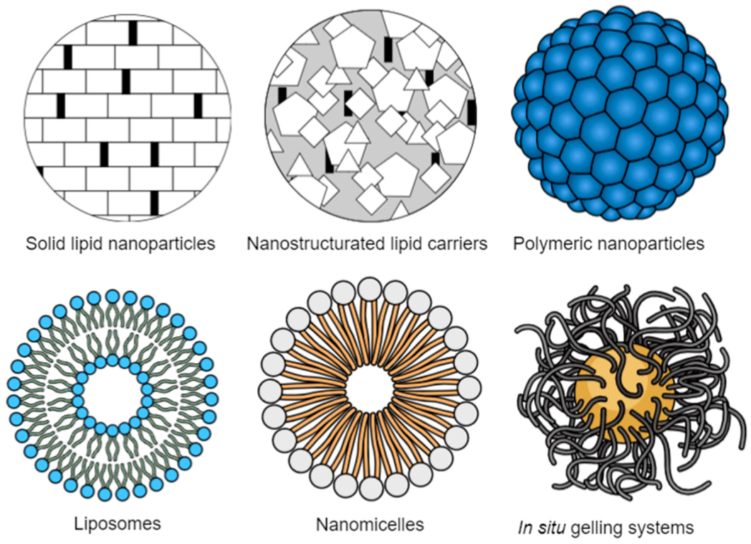 Jpm 13 00635 g002 Jpm 13 00635 g002