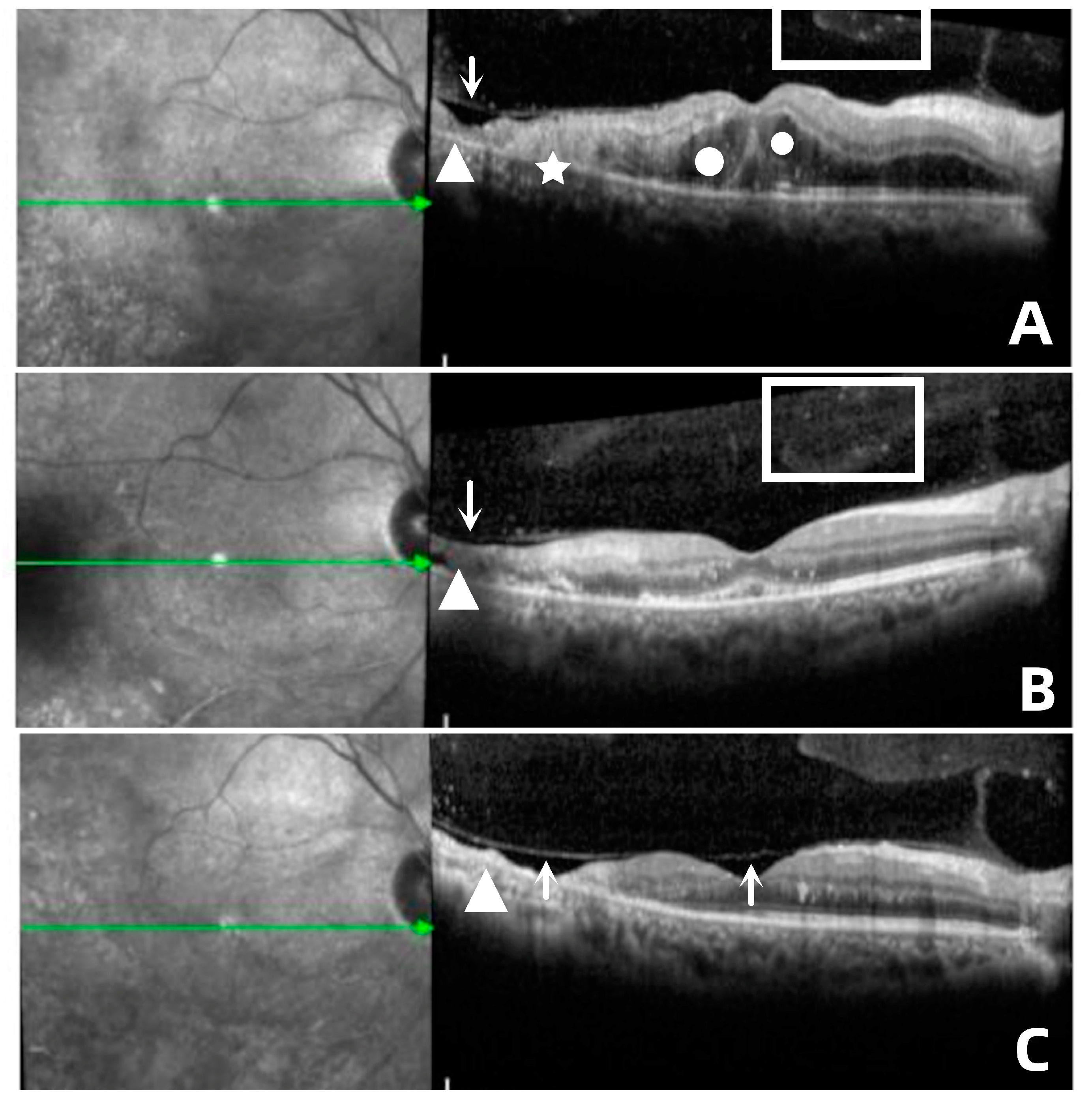 Jpm 13 00639 g002 Jpm 13 00639 g002