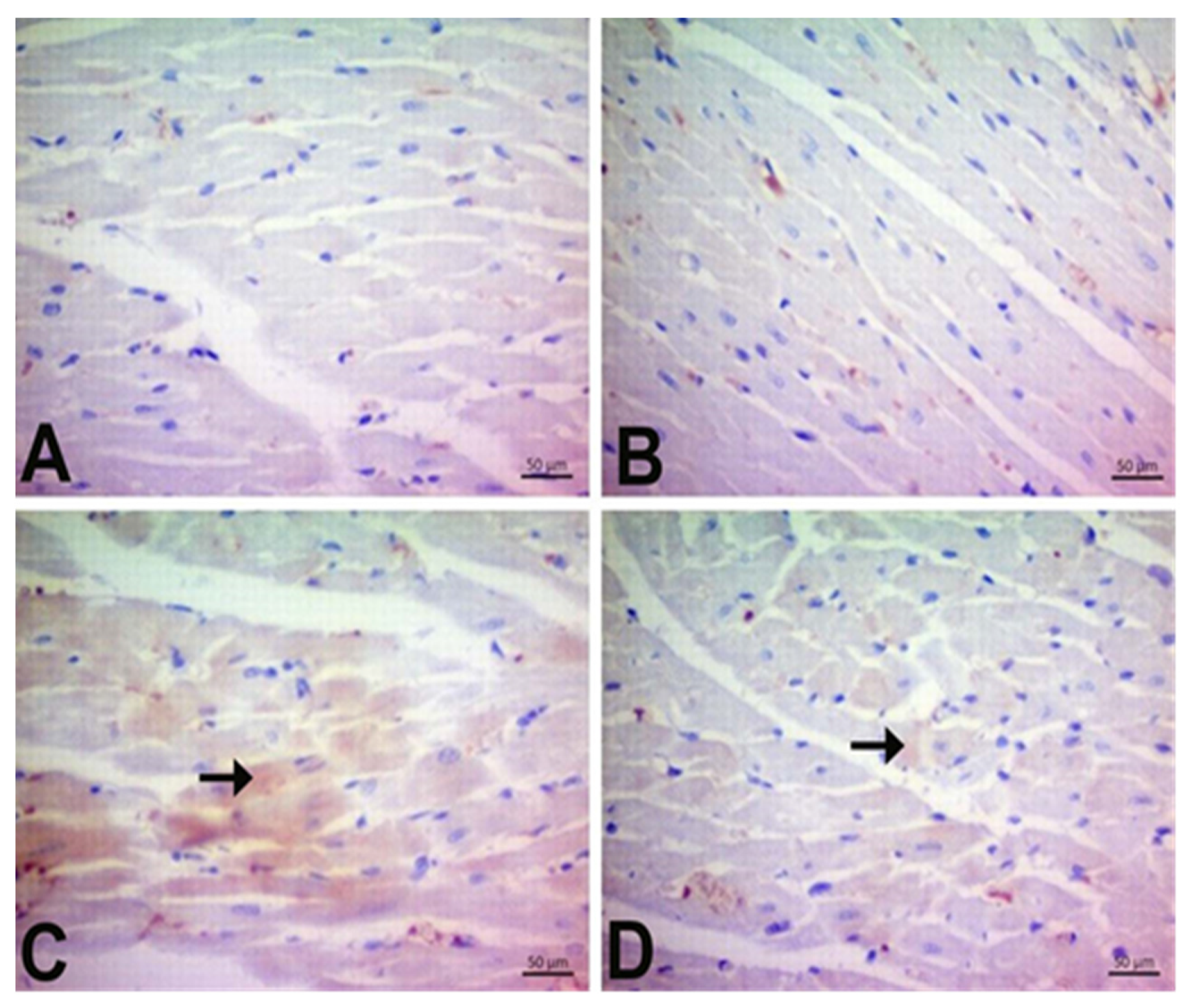 Jpm 13 00649 g009 Jpm 13 00649 g009