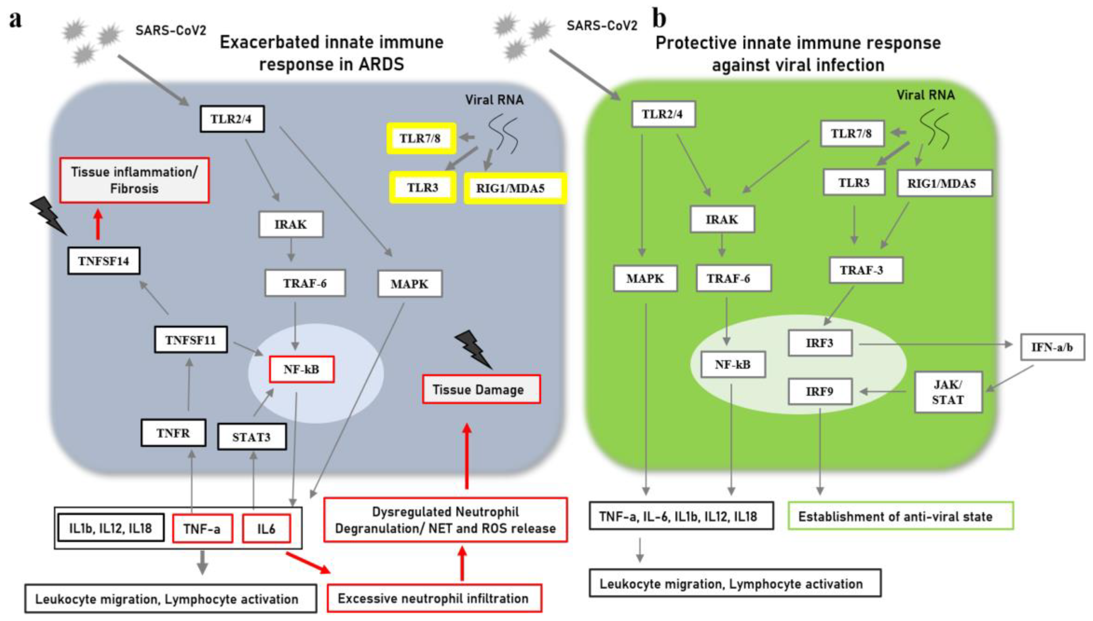 Jpm 13 00664 g004 Jpm 13 00664 g004