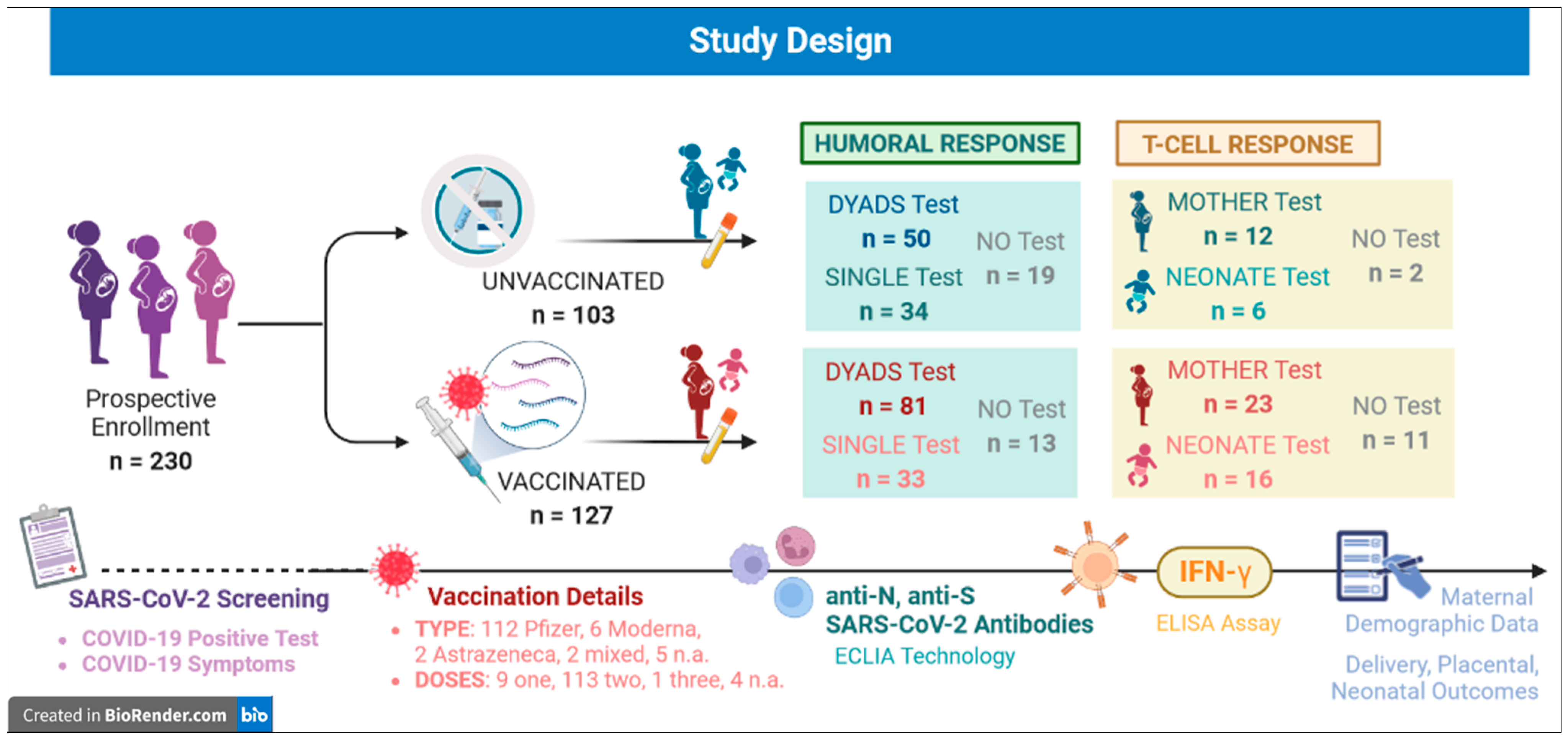 Jpm 13 00689 g001 Jpm 13 00689 g001