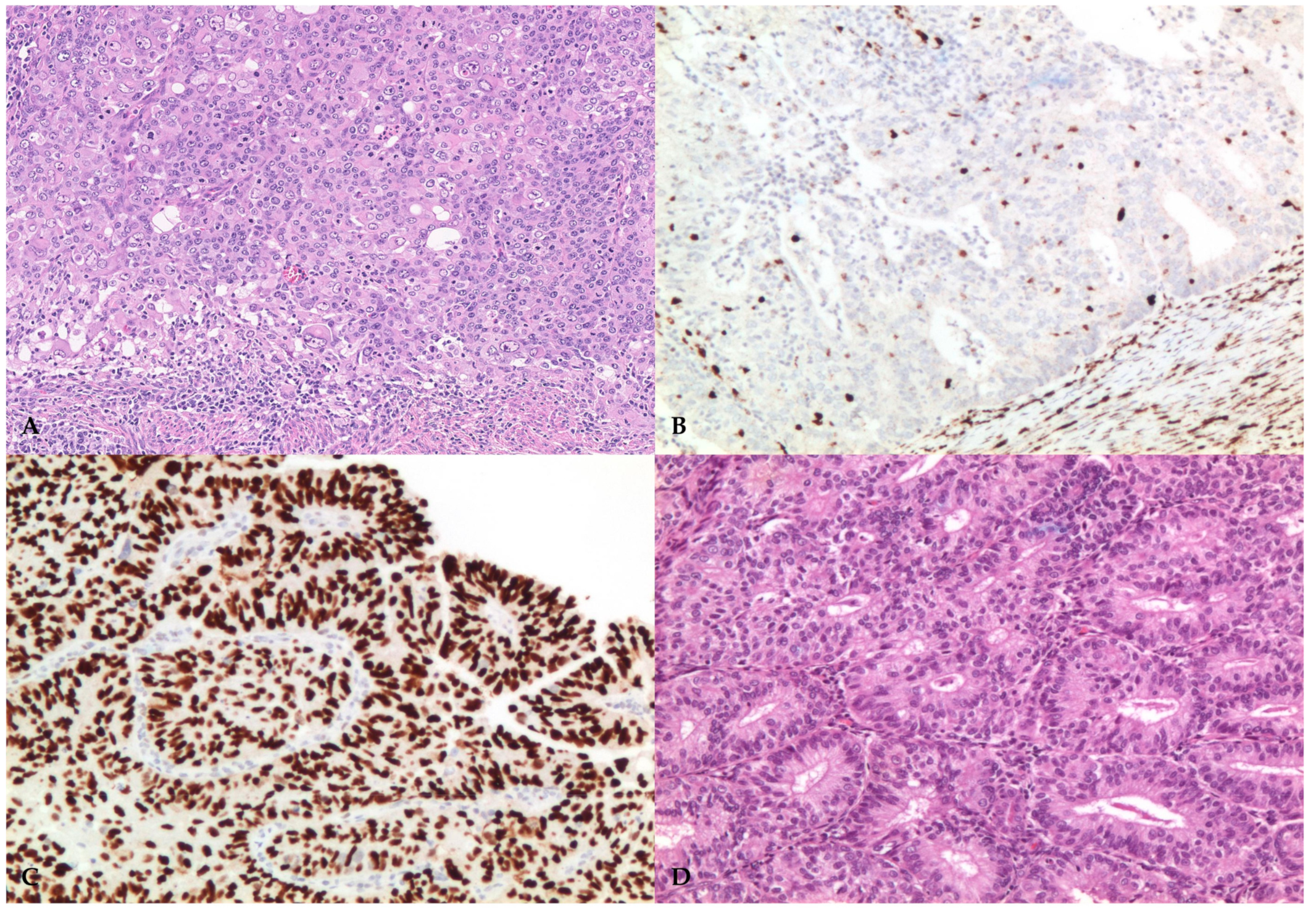 Jpm 13 00723 g003 Jpm 13 00723 g003