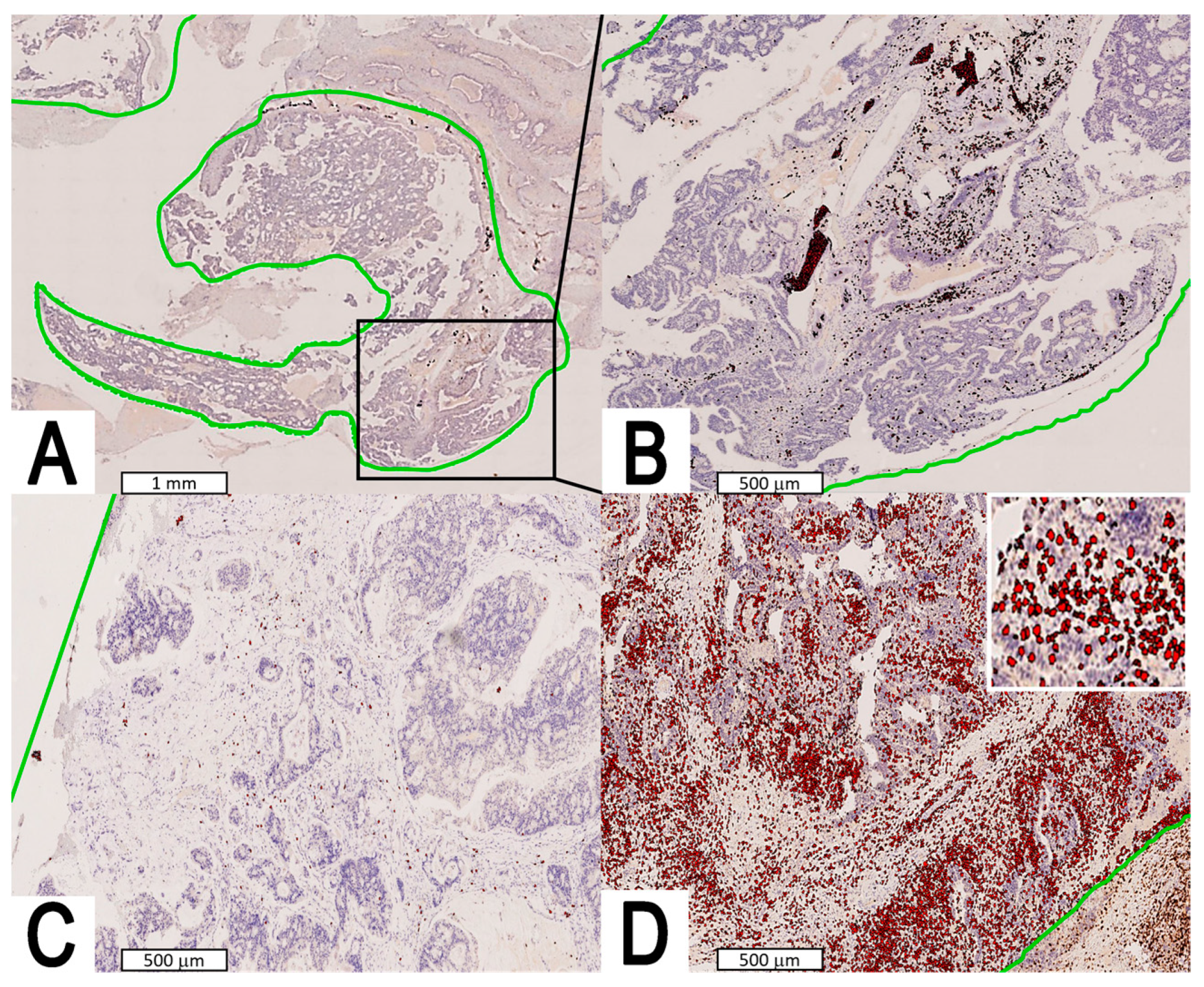 Jpm 13 00726 g002 Jpm 13 00726 g002