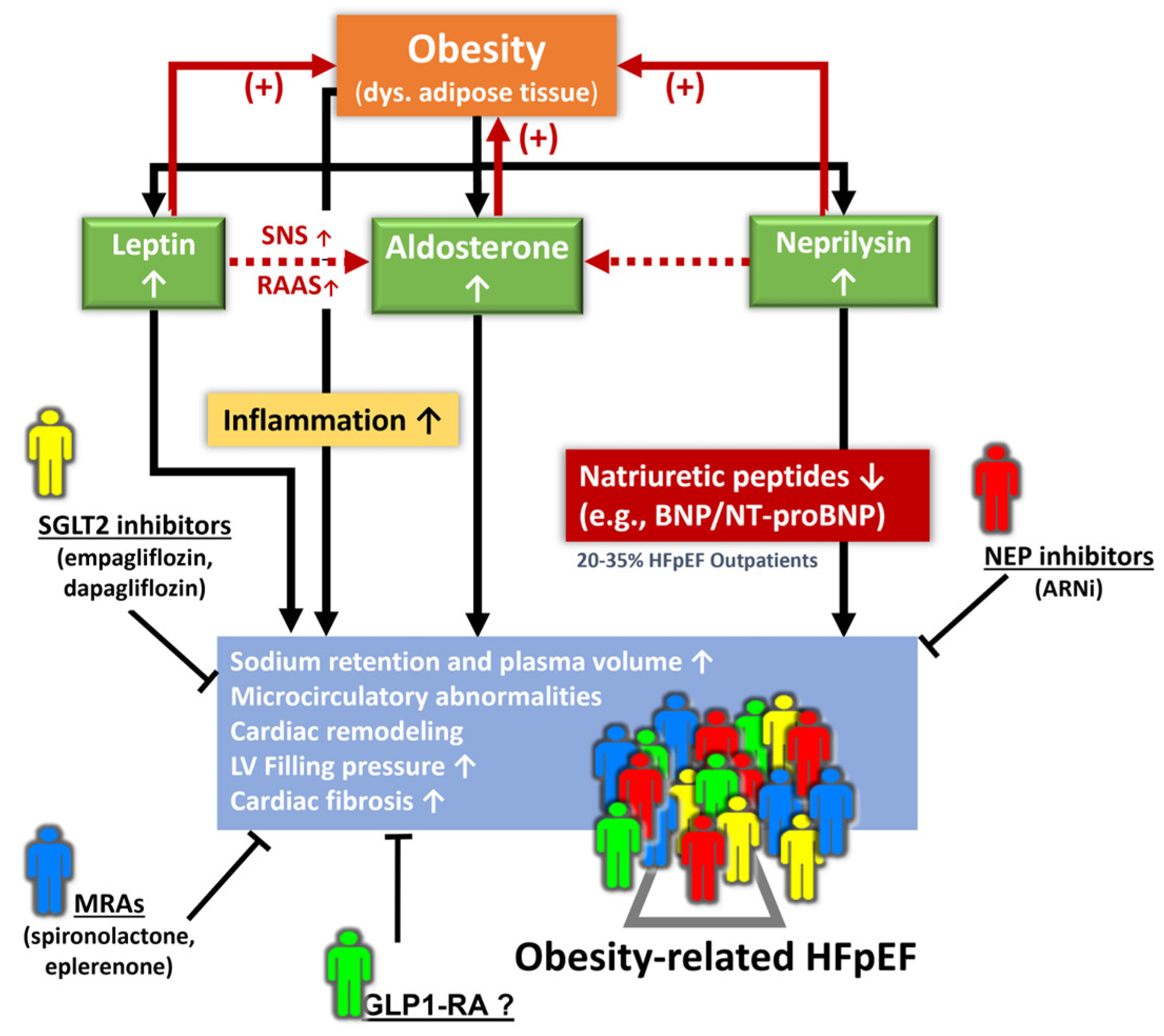 Jpm 13 00746 g003 Jpm 13 00746 g003