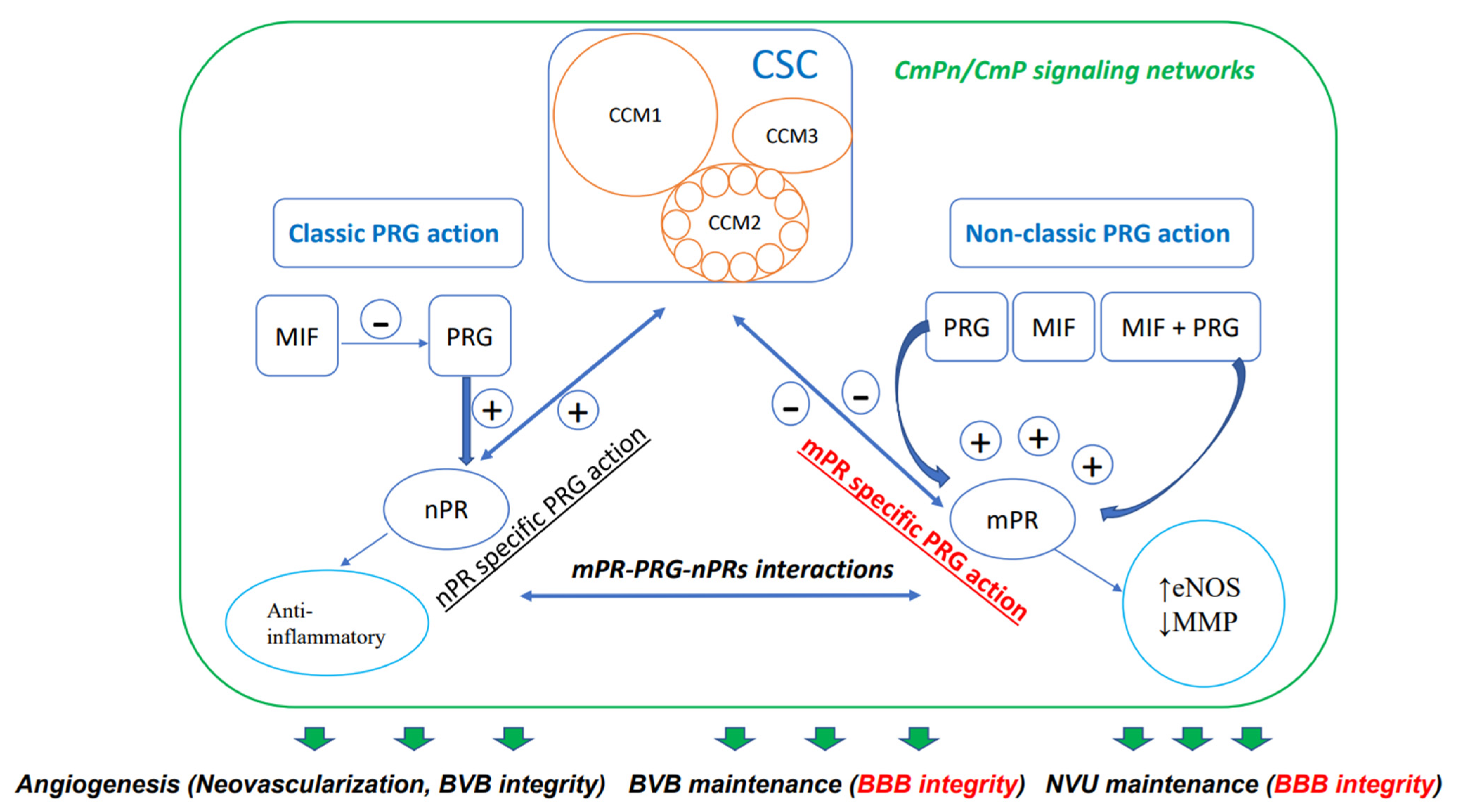 Jpm 13 00751 g001 Jpm 13 00751 g001