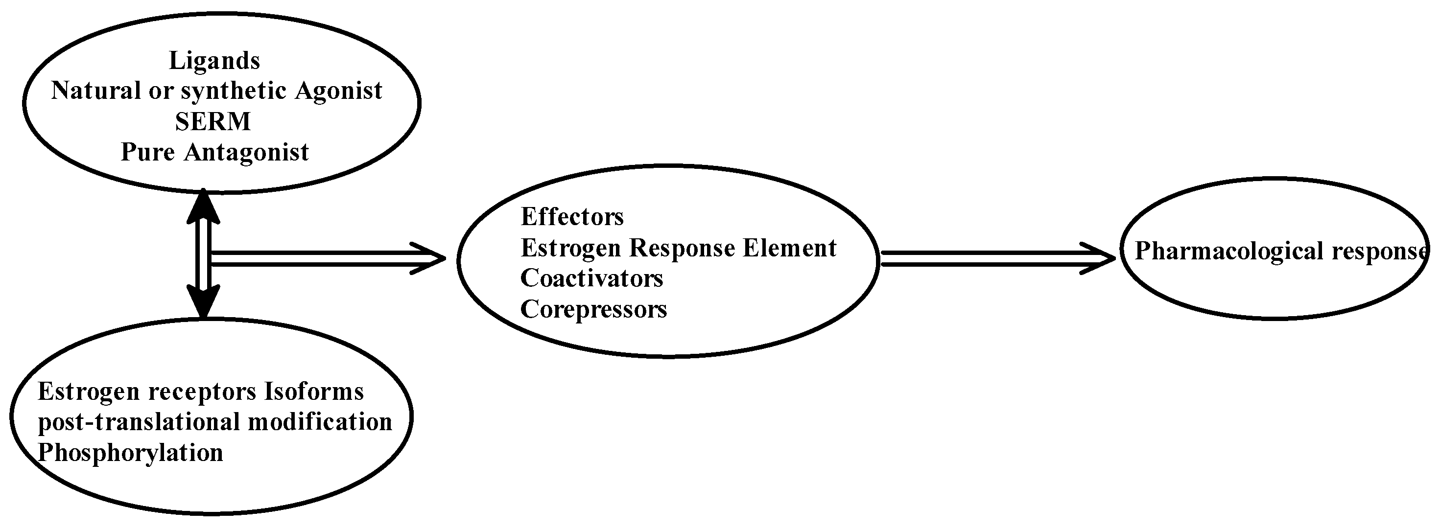Jpm 13 00754 g002 Jpm 13 00754 g002