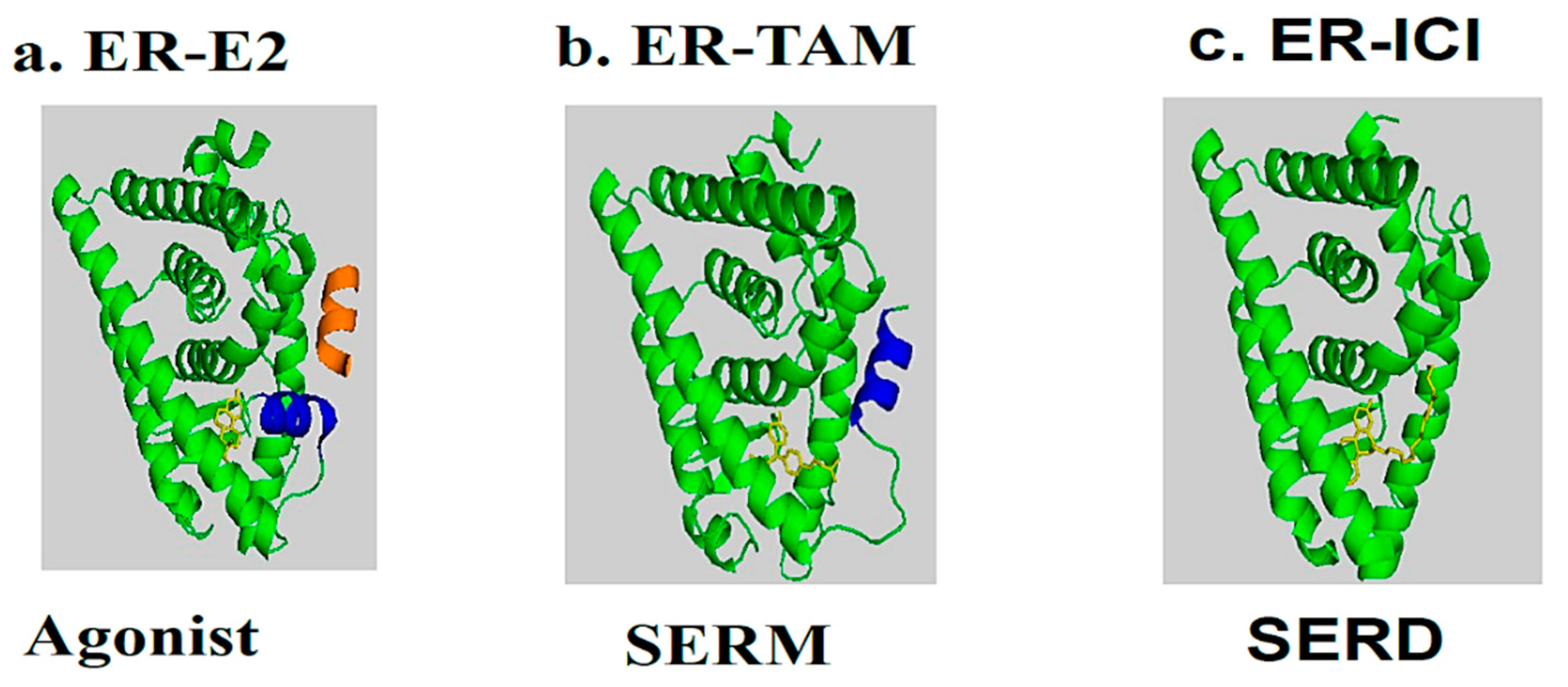 Jpm 13 00754 g004 Jpm 13 00754 g004