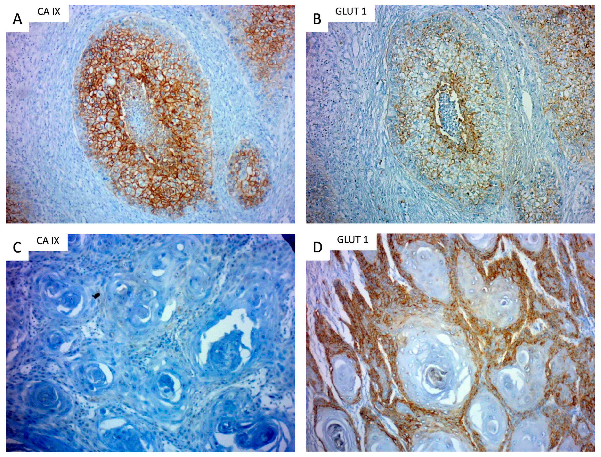 Jpm 13 00767 g001 Jpm 13 00767 g001