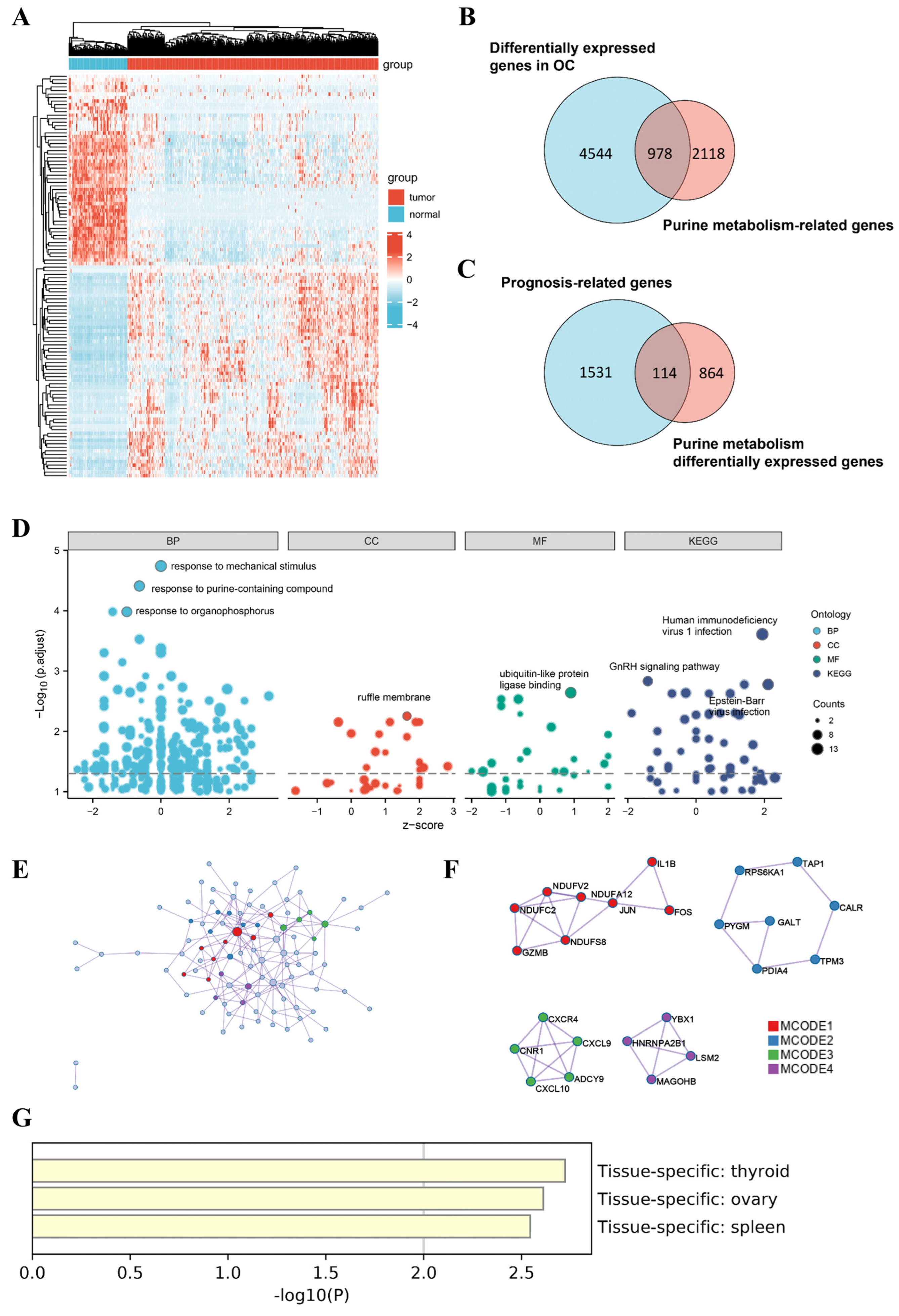 Jpm 13 00776 g001 Jpm 13 00776 g001