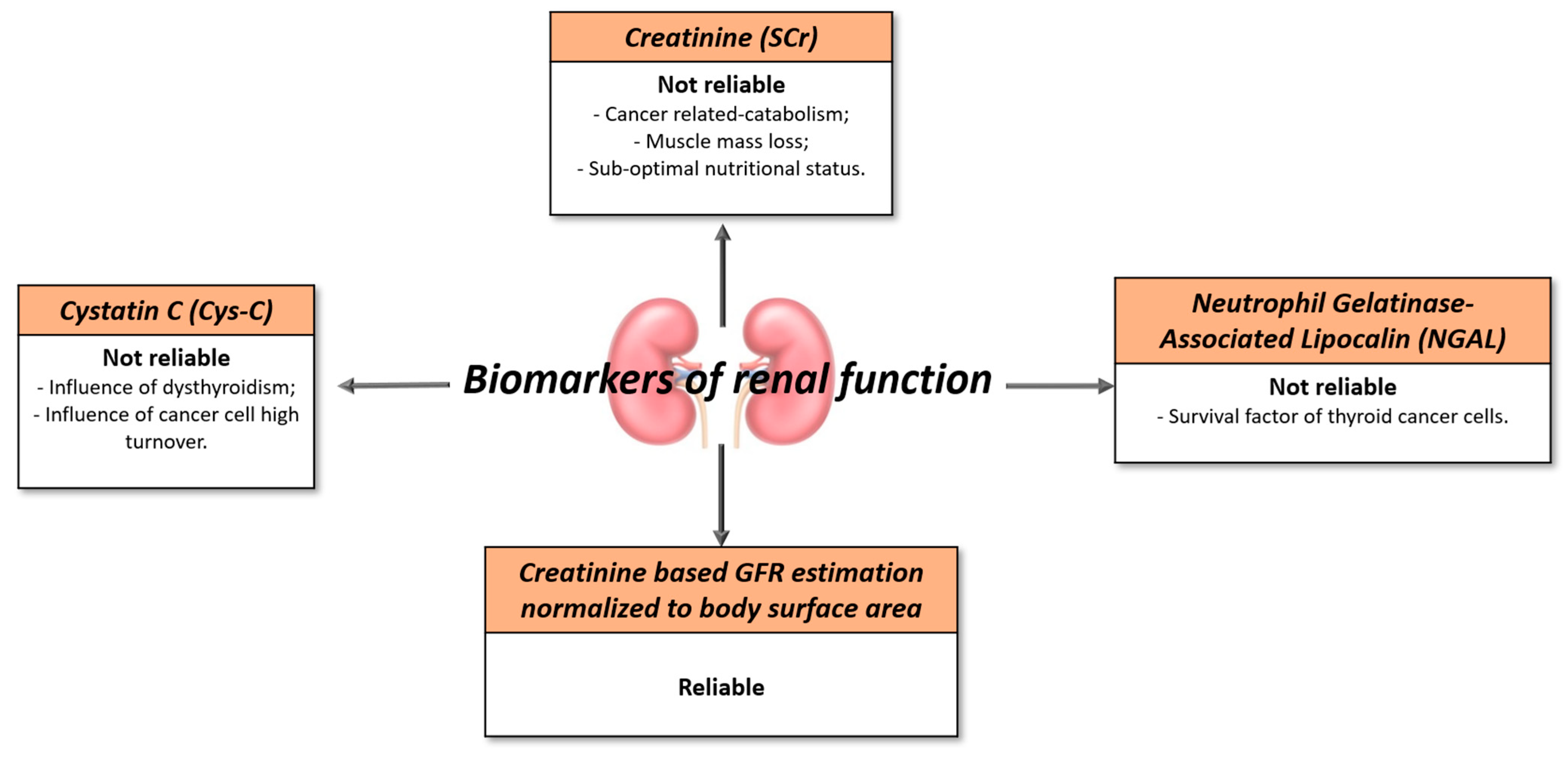 Jpm 13 00813 g002 Jpm 13 00813 g002