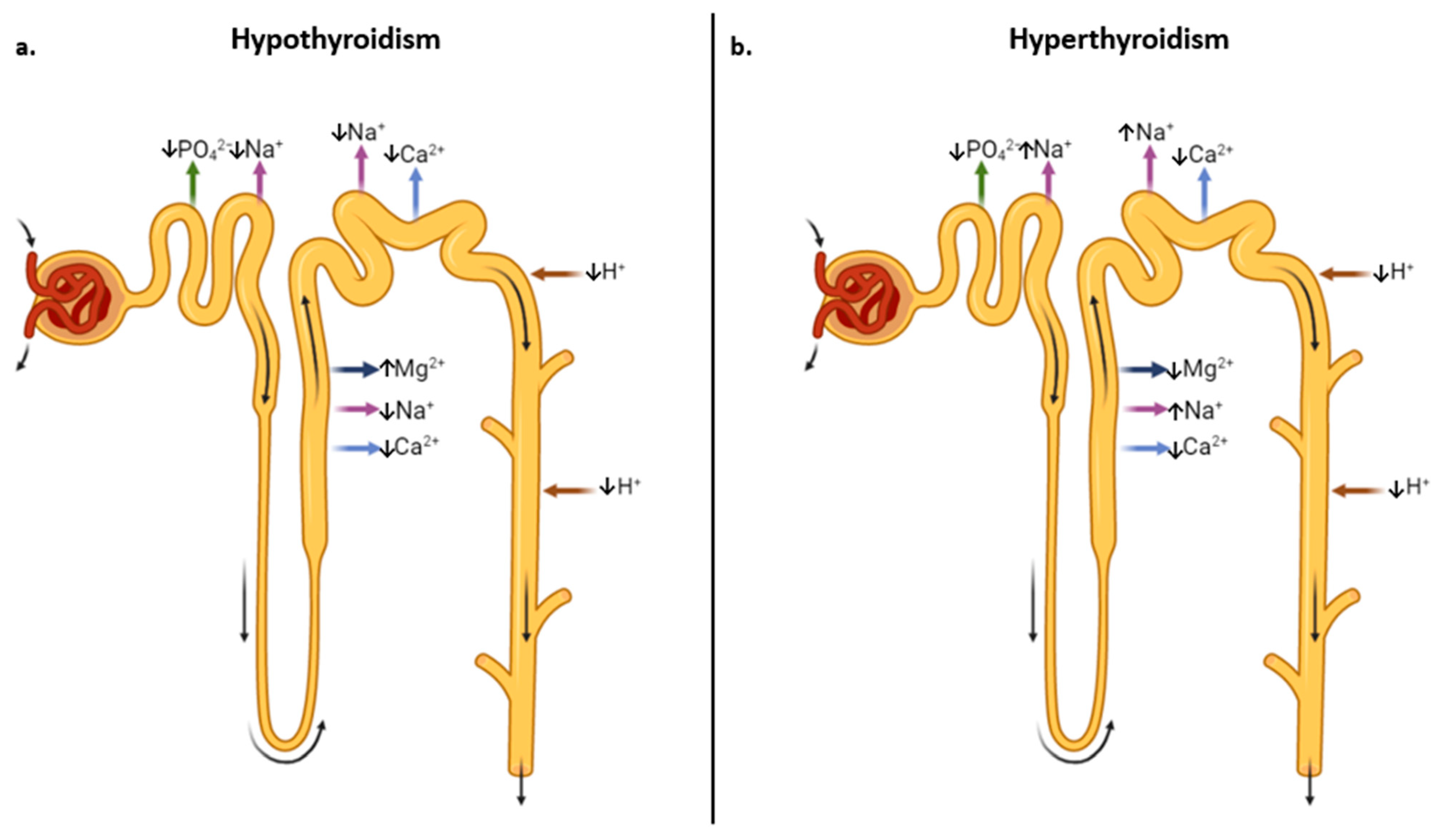 Jpm 13 00813 g003 Jpm 13 00813 g003