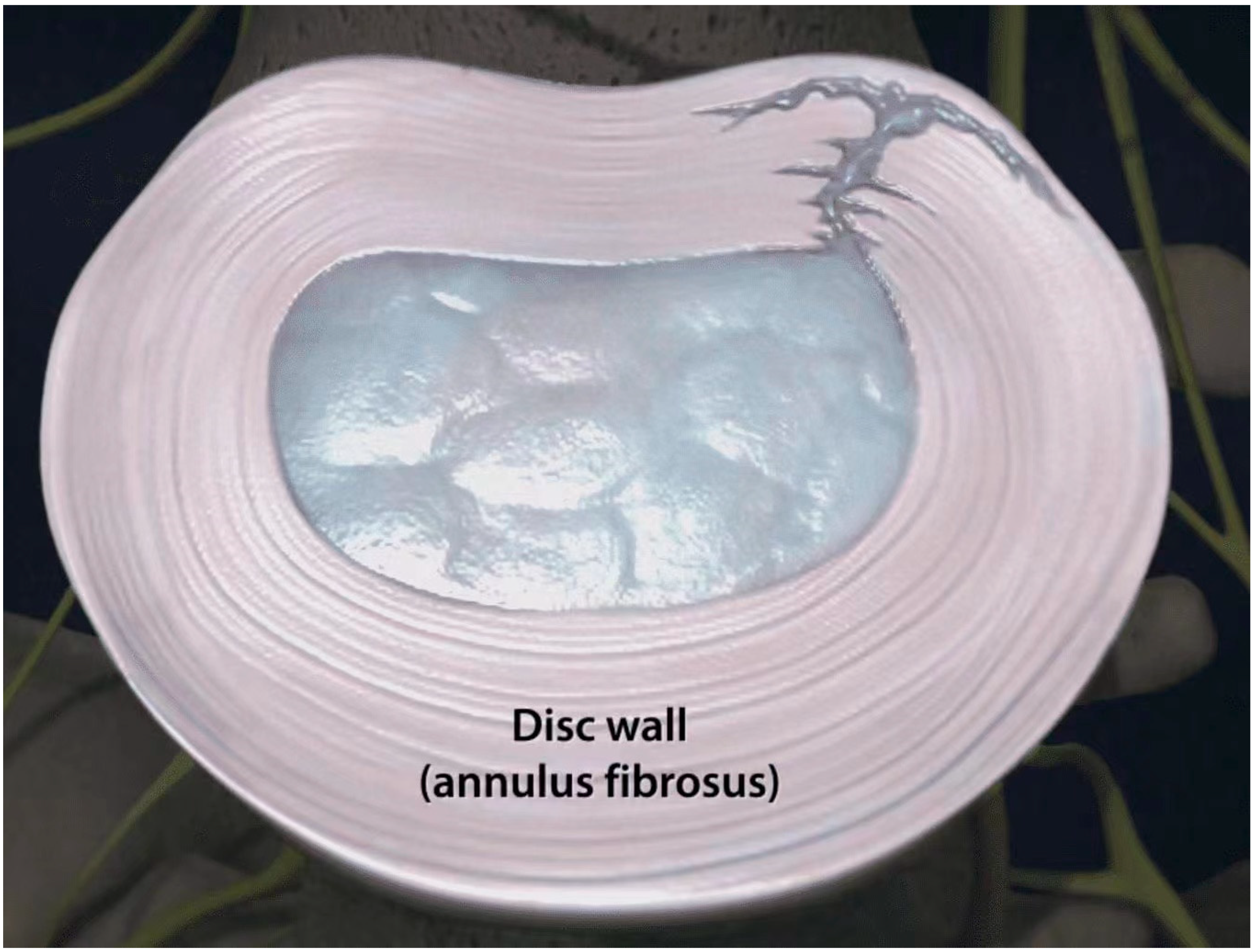 Jpm 13 00821 g002 Jpm 13 00821 g002