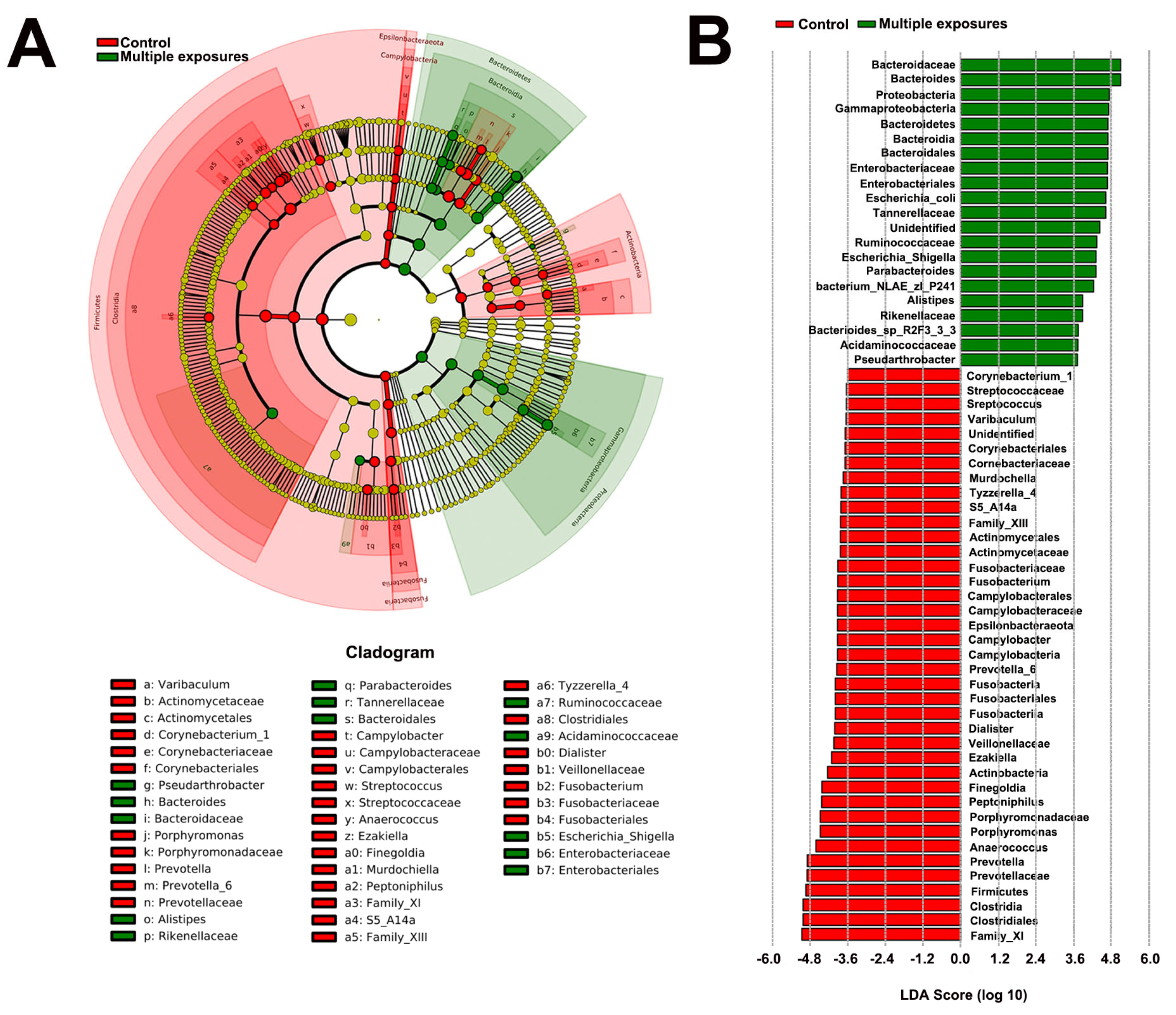 Jpm 13 00823 g003 Jpm 13 00823 g003