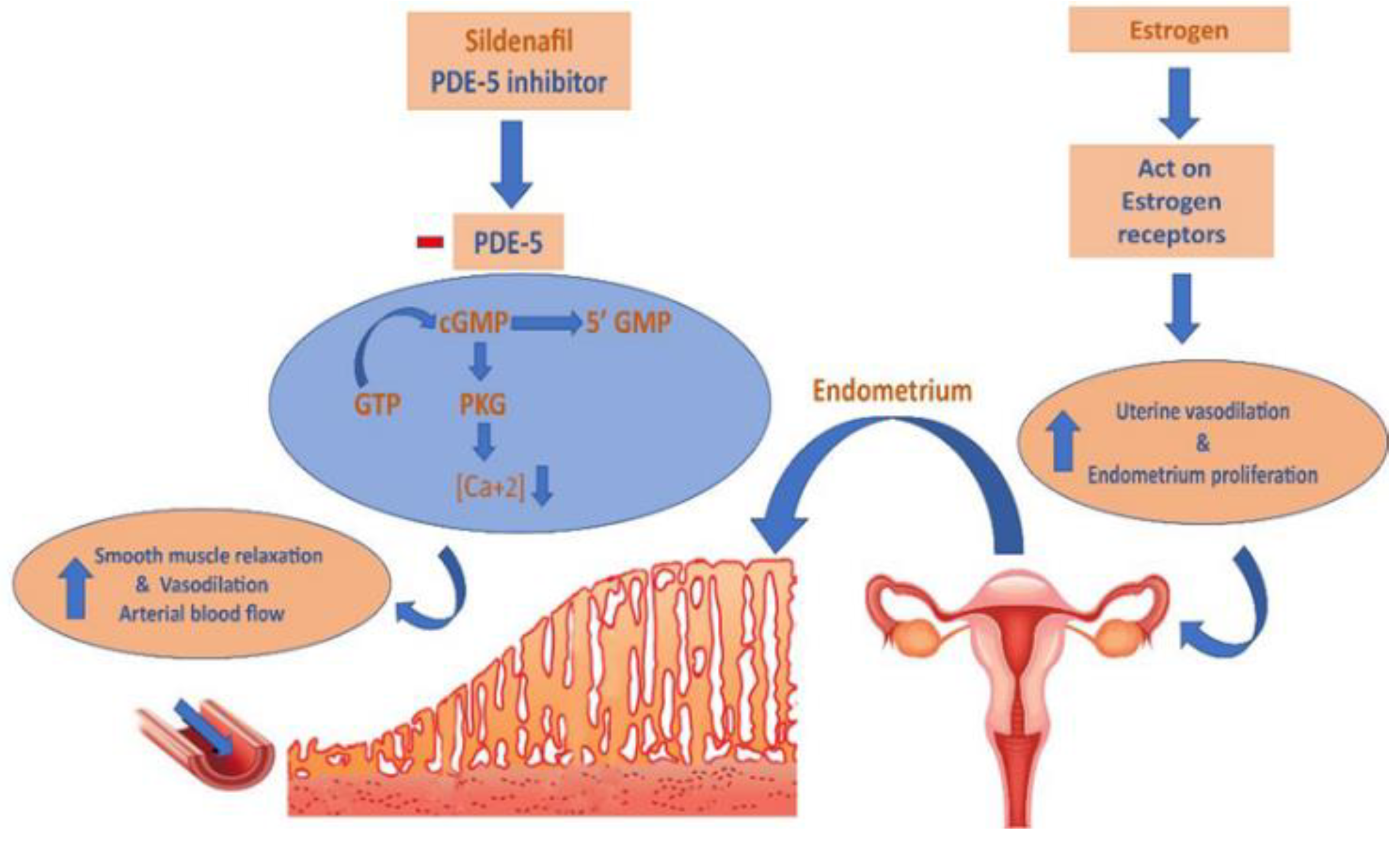 Jpm 13 00842 g001 Jpm 13 00842 g001
