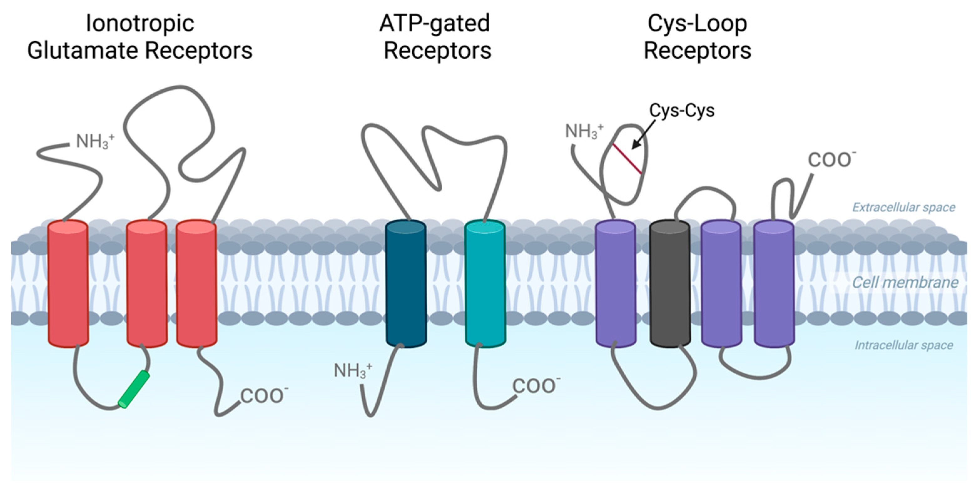Jpm 13 00853 g001 Jpm 13 00853 g001