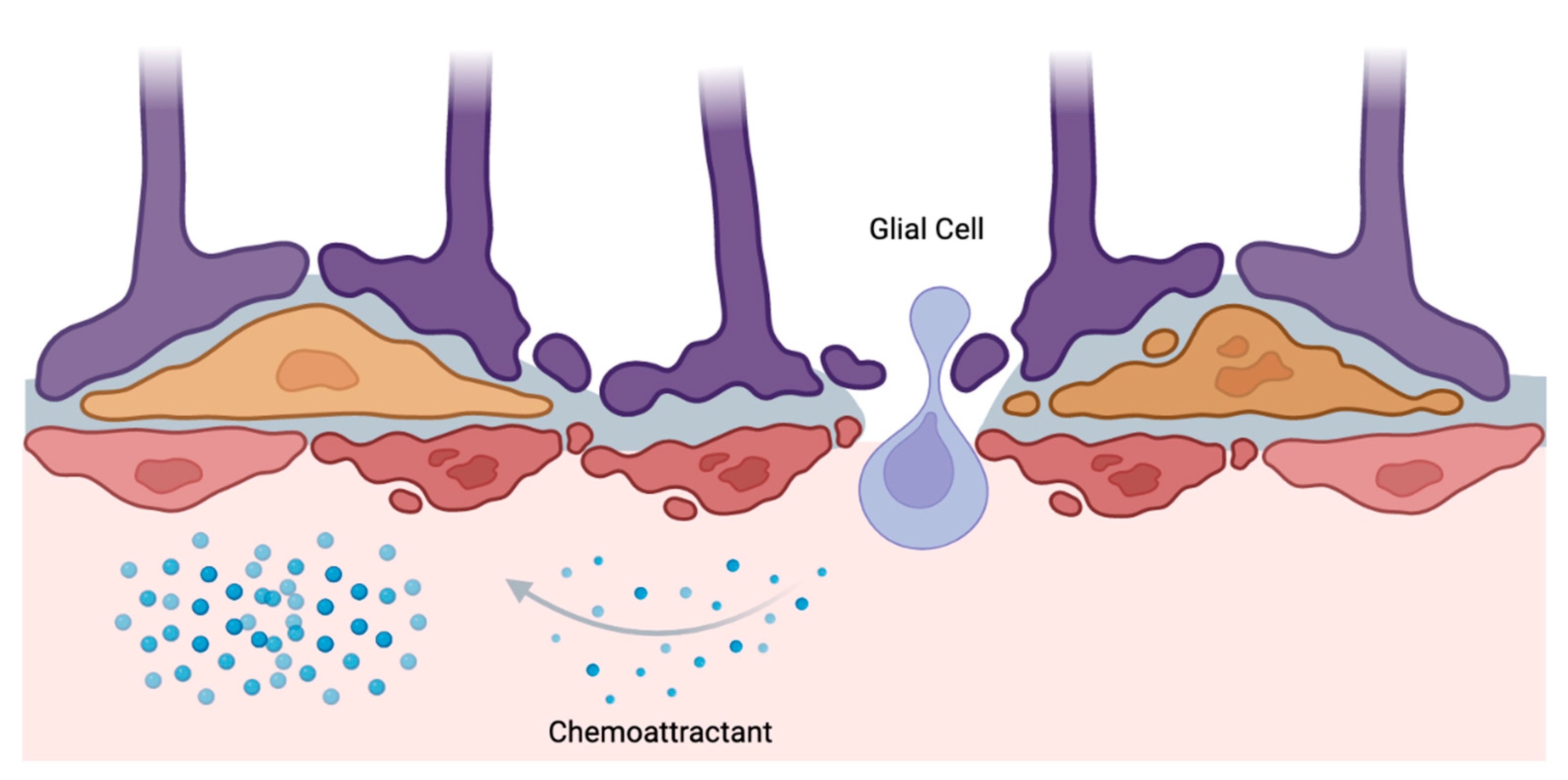 Jpm 13 00853 g002 Jpm 13 00853 g002