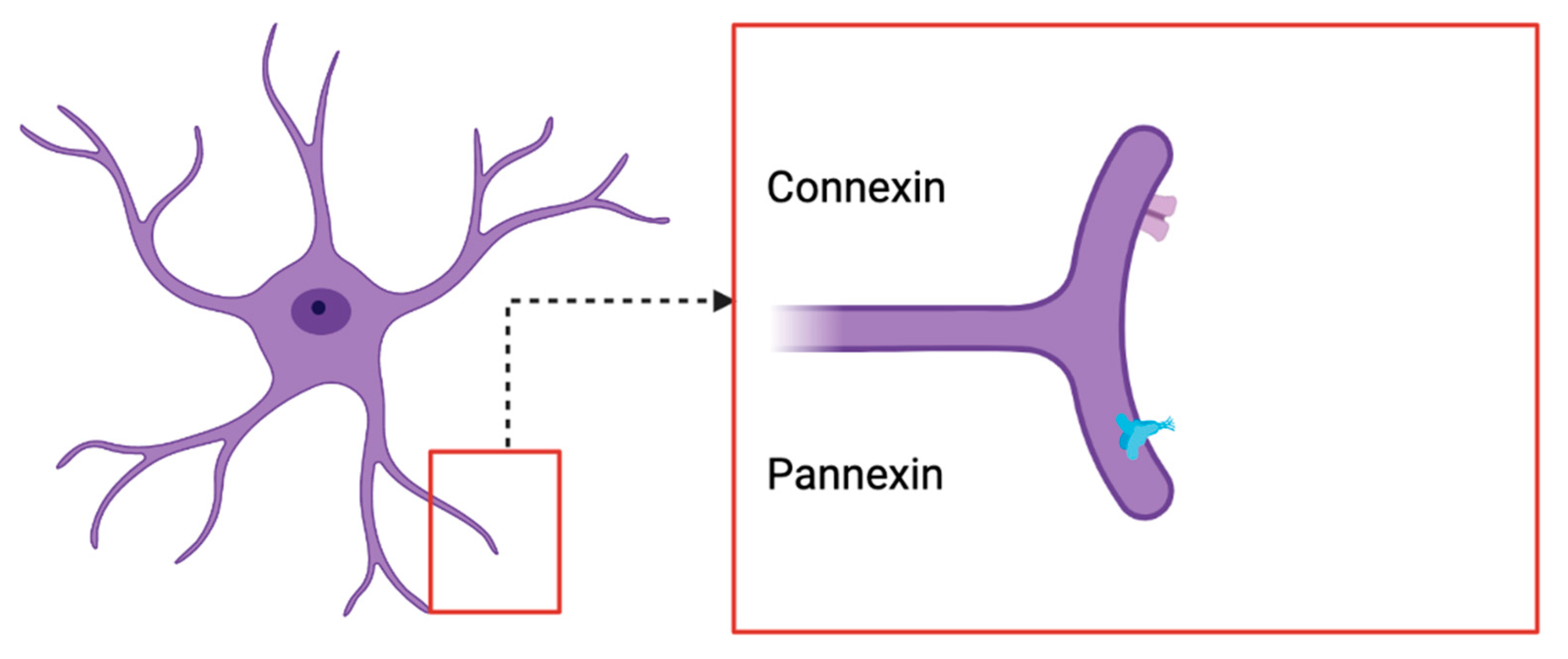 Jpm 13 00853 g003 Jpm 13 00853 g003