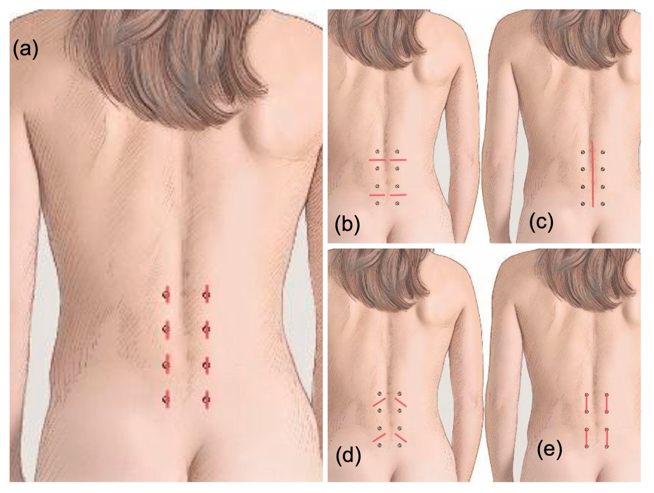 Jpm 13 00878 g002 Jpm 13 00878 g002