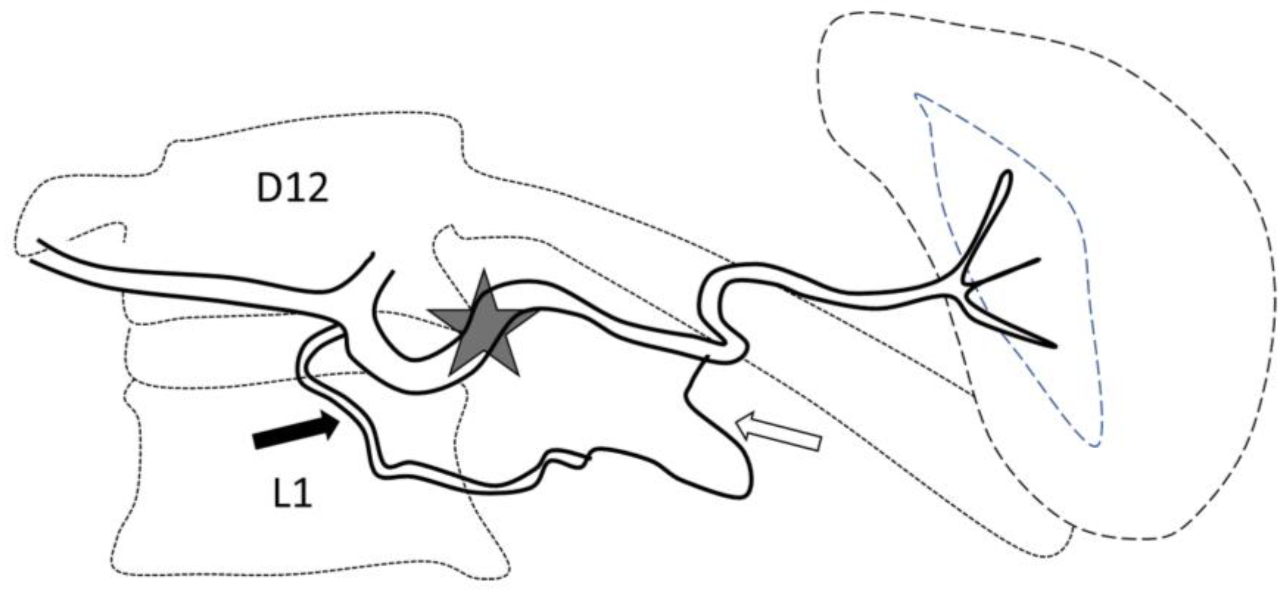 Jpm 13 00889 g001 Jpm 13 00889 g001