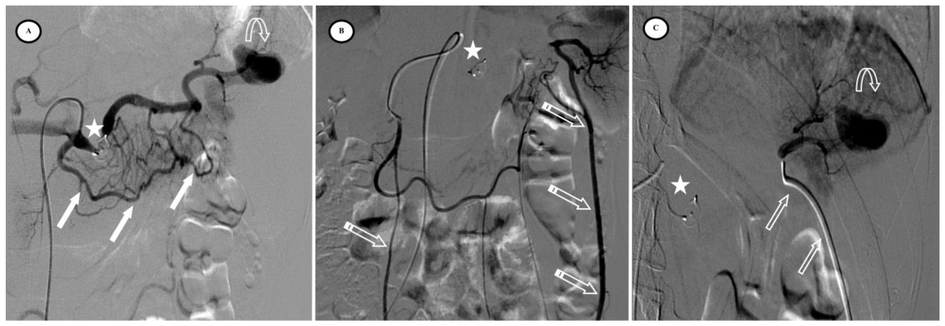 Jpm 13 00889 g004 Jpm 13 00889 g004
