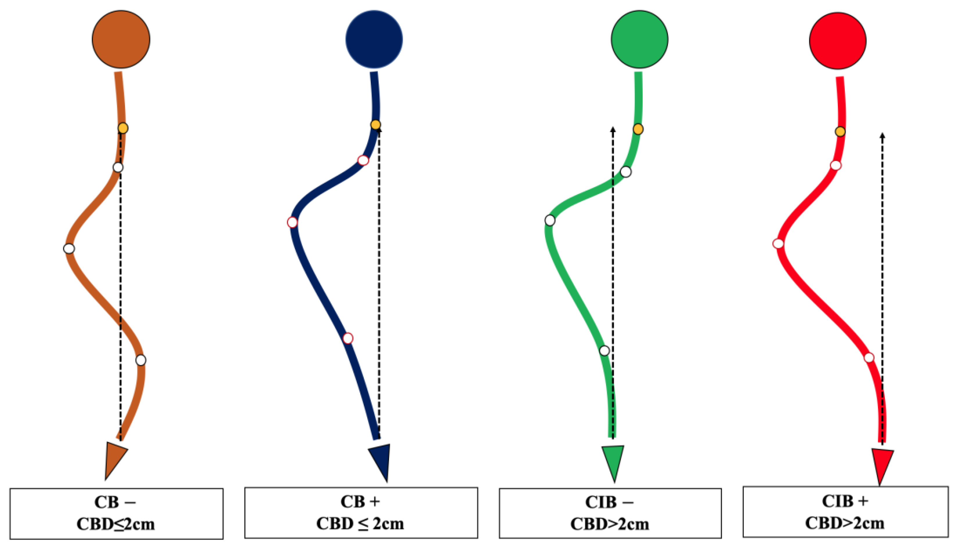 Jpm 13 00897 g002 Jpm 13 00897 g002